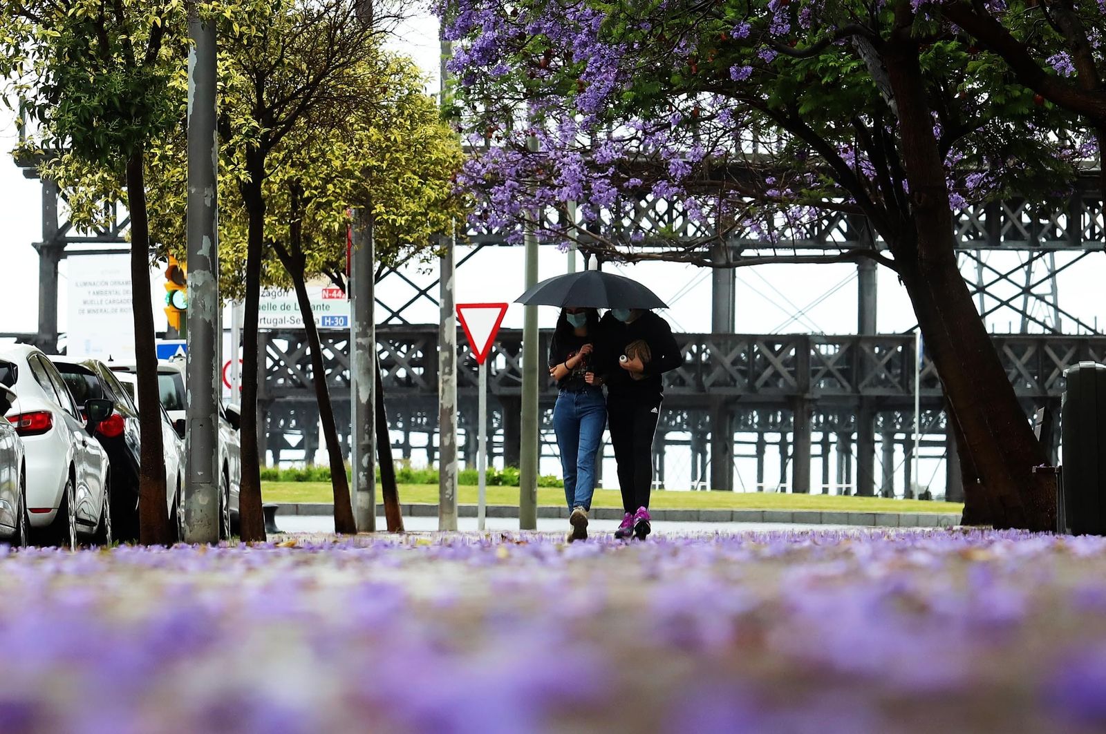 Tarde de lluvia en imágenes