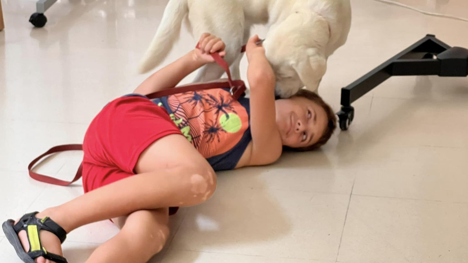 Exhibición canina para los mayores de le Residencia El Zapillo y para los niños y niñas de la escuela de verano de la Asociación de Personas con Discapacidad de Almería ANDA