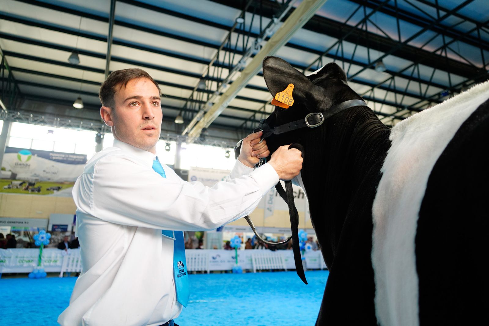 La Feria de Ganado Frisón Usías Holsteins de Dos Torres, en fotografías