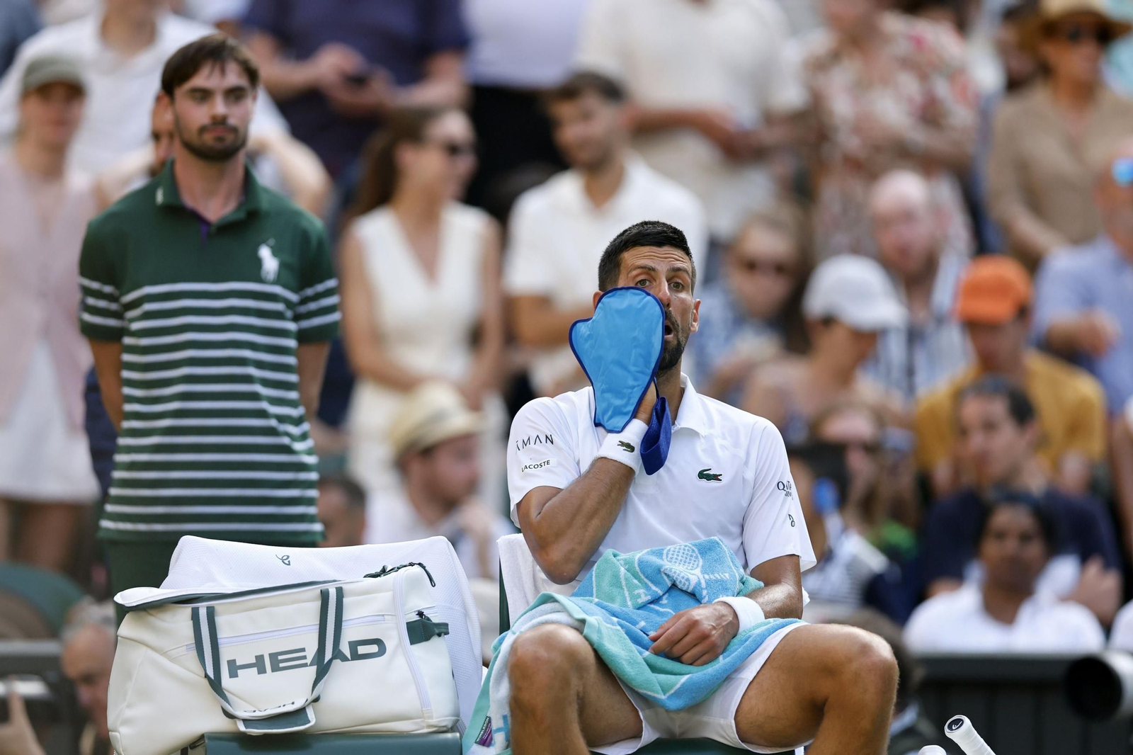 Las fotos de Wimbledon con las clasificaciones de Djokovic y Sinner