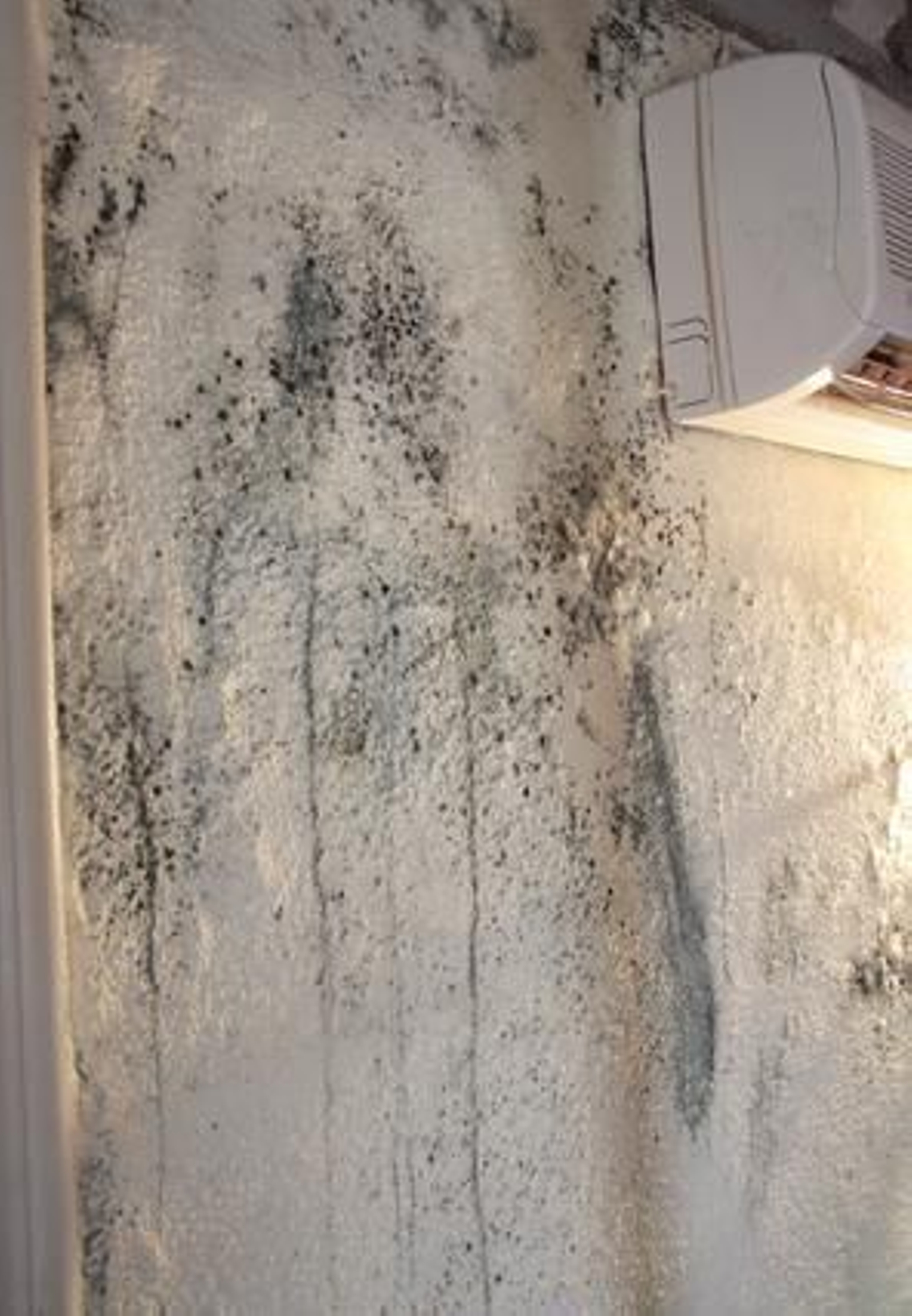 Foto: Victoria Hidalgo