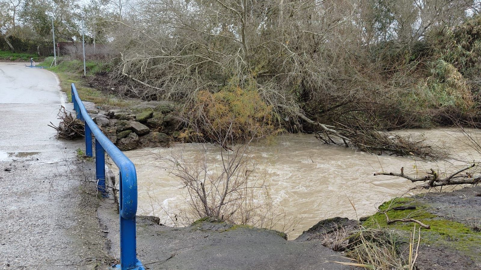 El río Guadalete, este domingo, a su paso por el puente chico de La Barca