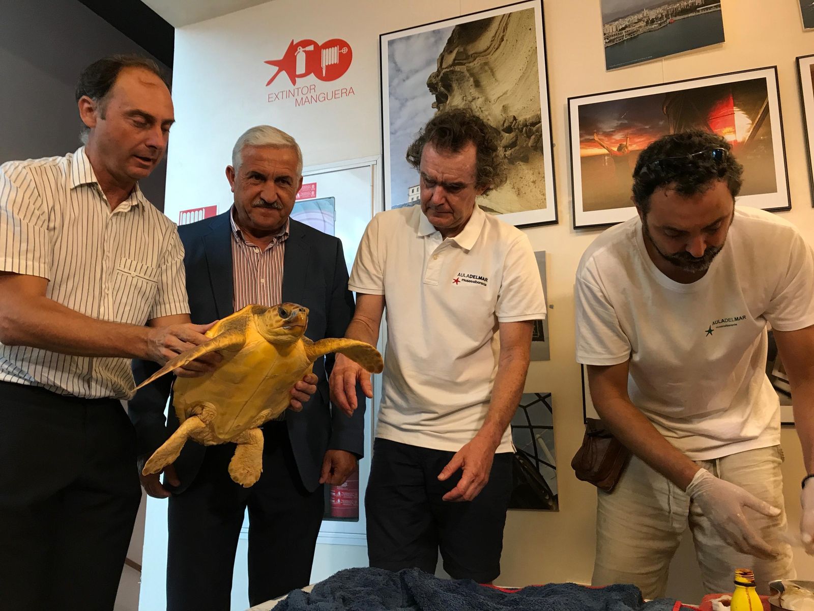Miembros de Aula del Mar junto al edil, José del Río, insertando un chip a una de las tortugas del centro.