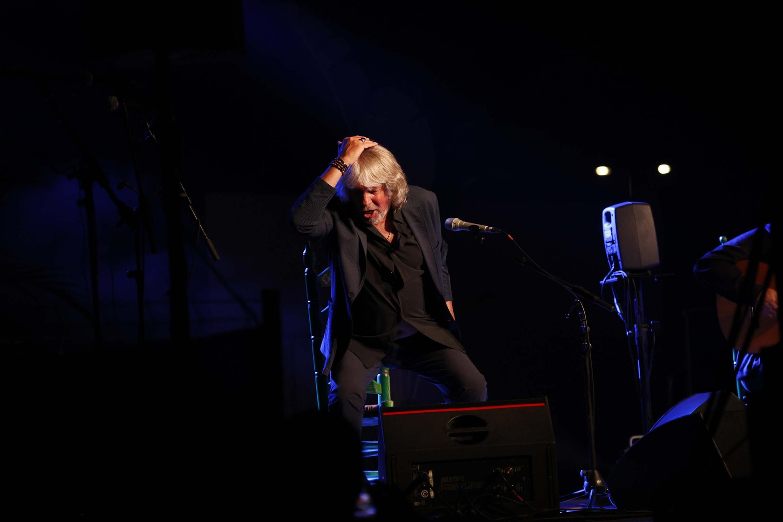 Fotos de la noche flamenca con José Mercé en La Línea
