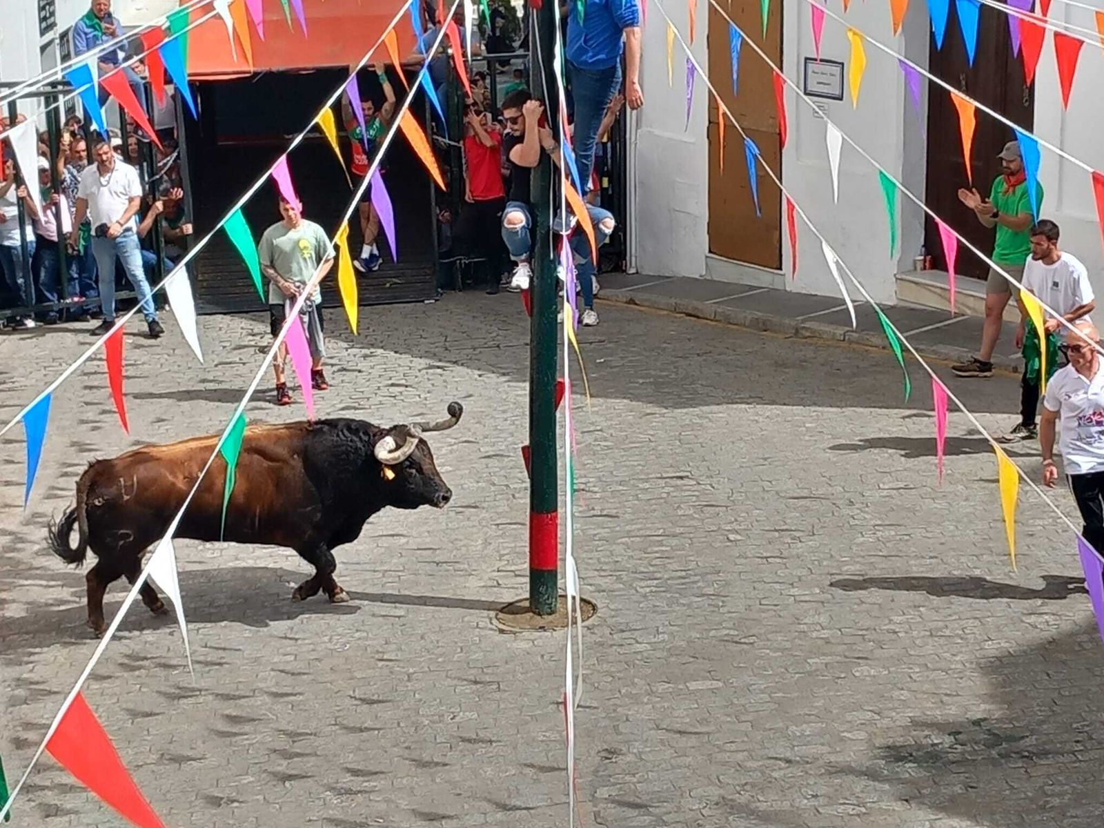 Imágenes de la fiesta del Toro Embolao en Vejer