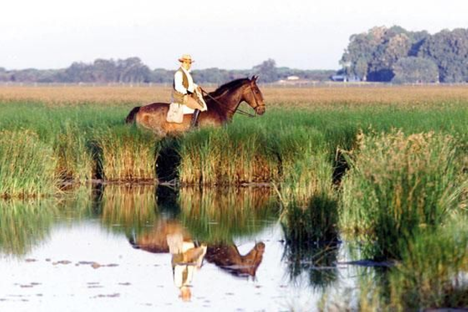 Los límites de Doñana