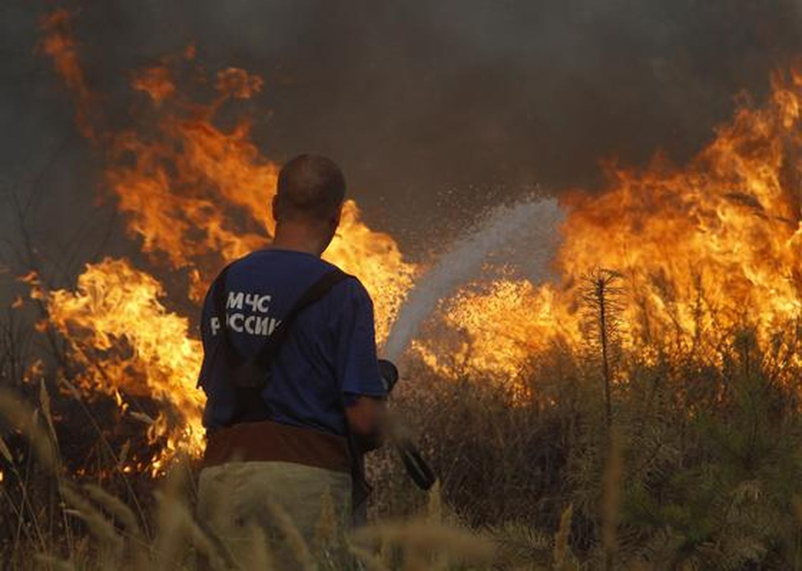 Siete regiones rusas están en estado de emergencia por los fuegos forestales. / Reuters