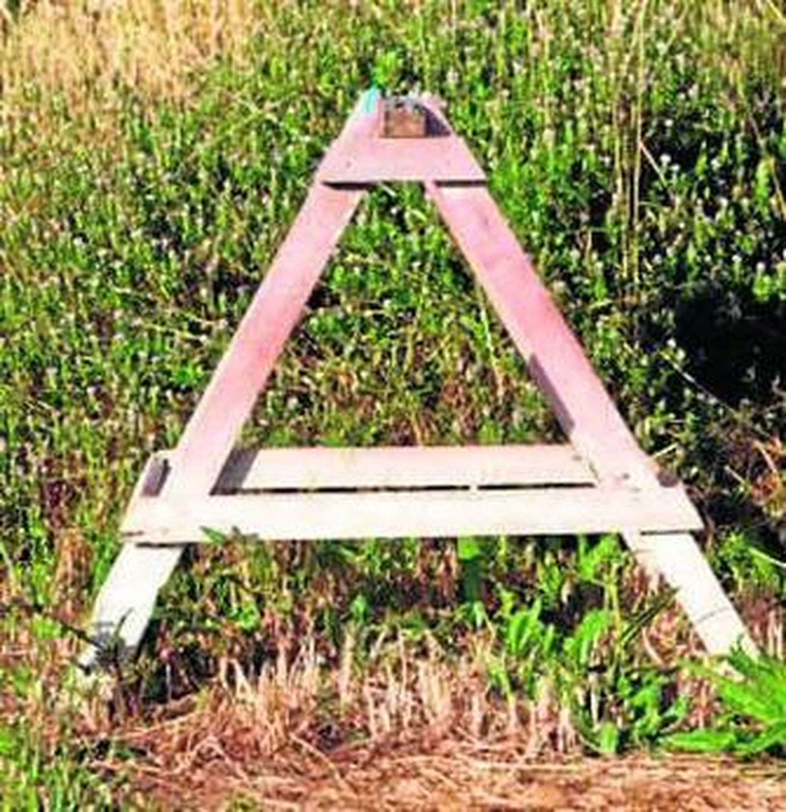 La fotógrafa Anna Elías posa con algunas de las letras de su particular abecedario.