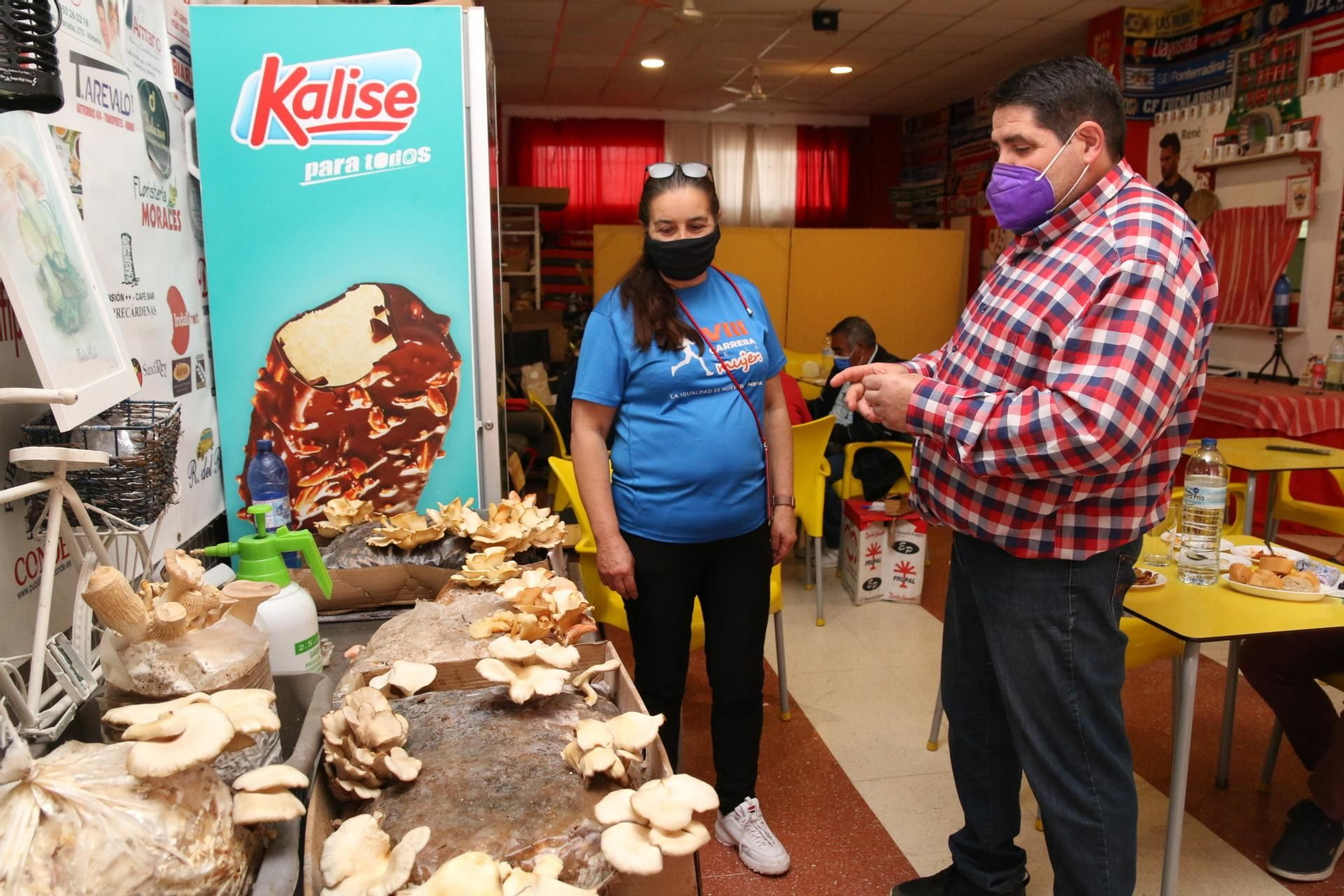 Fotogalería del Reino de las Setas