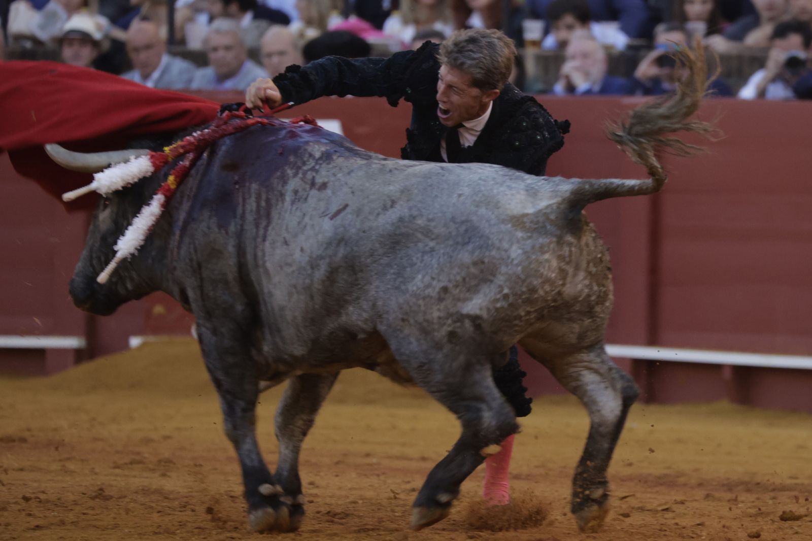 Las imágenes de la corrida de los Victorinos en la Maestranza de Sevilla