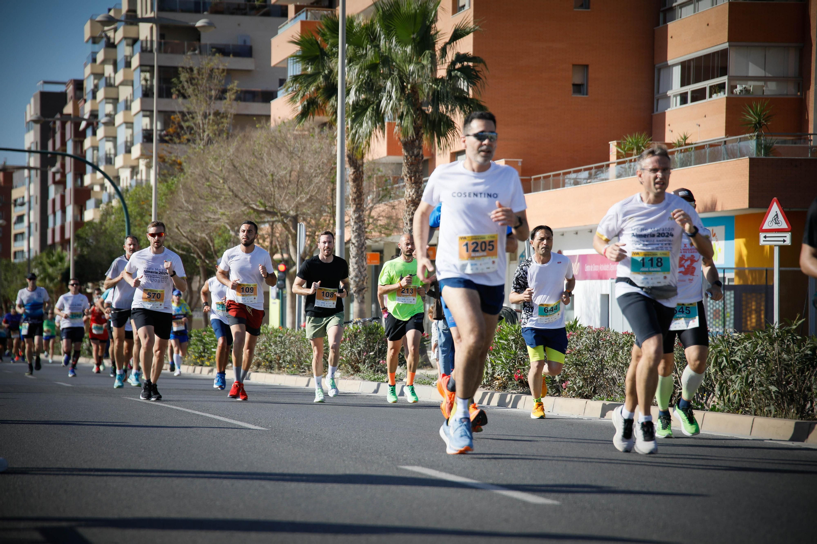 Imágenes de la Media Maratón Ciudad de Almería