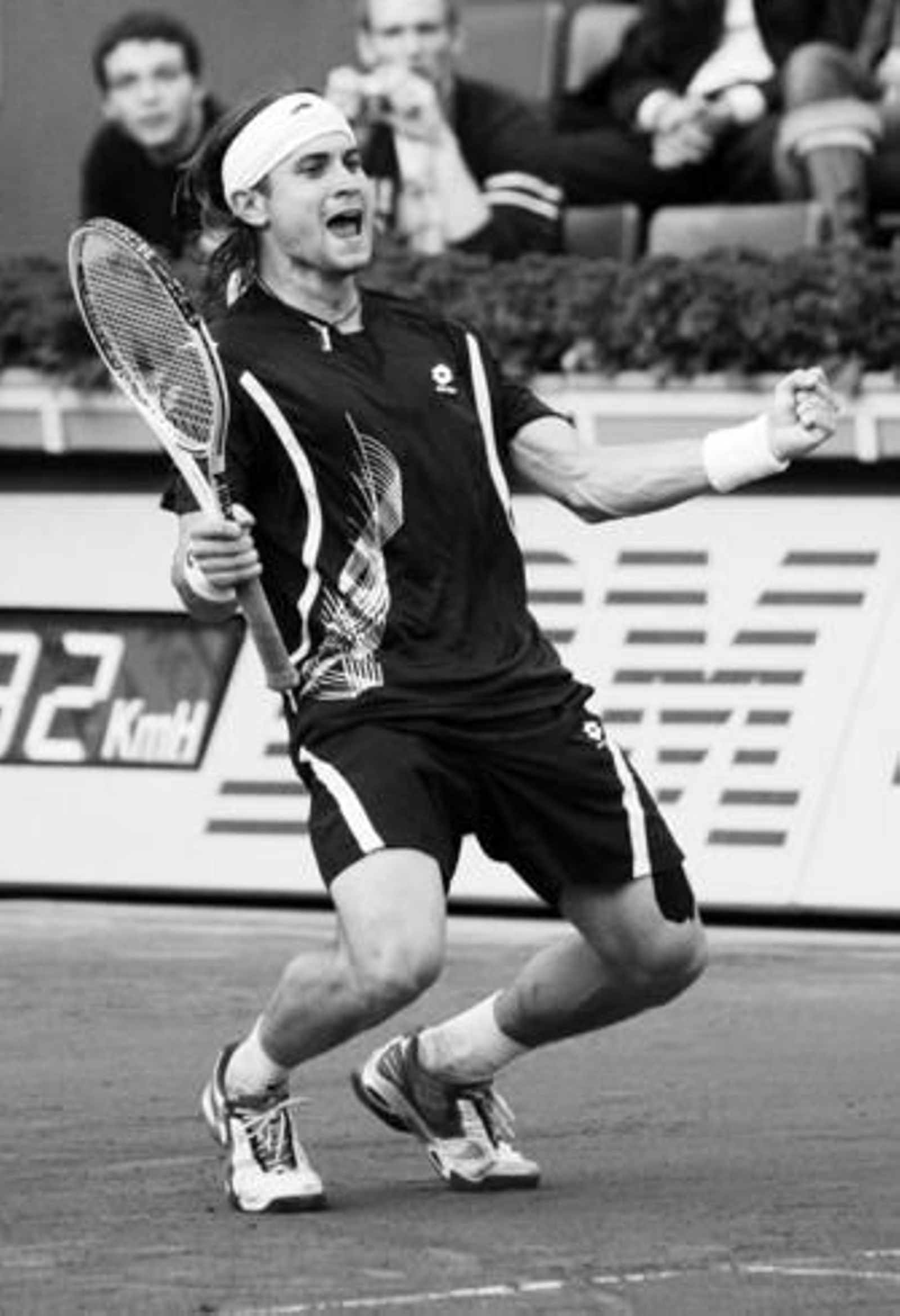 Ferrer celebra la victoria final ante Stepanek.
