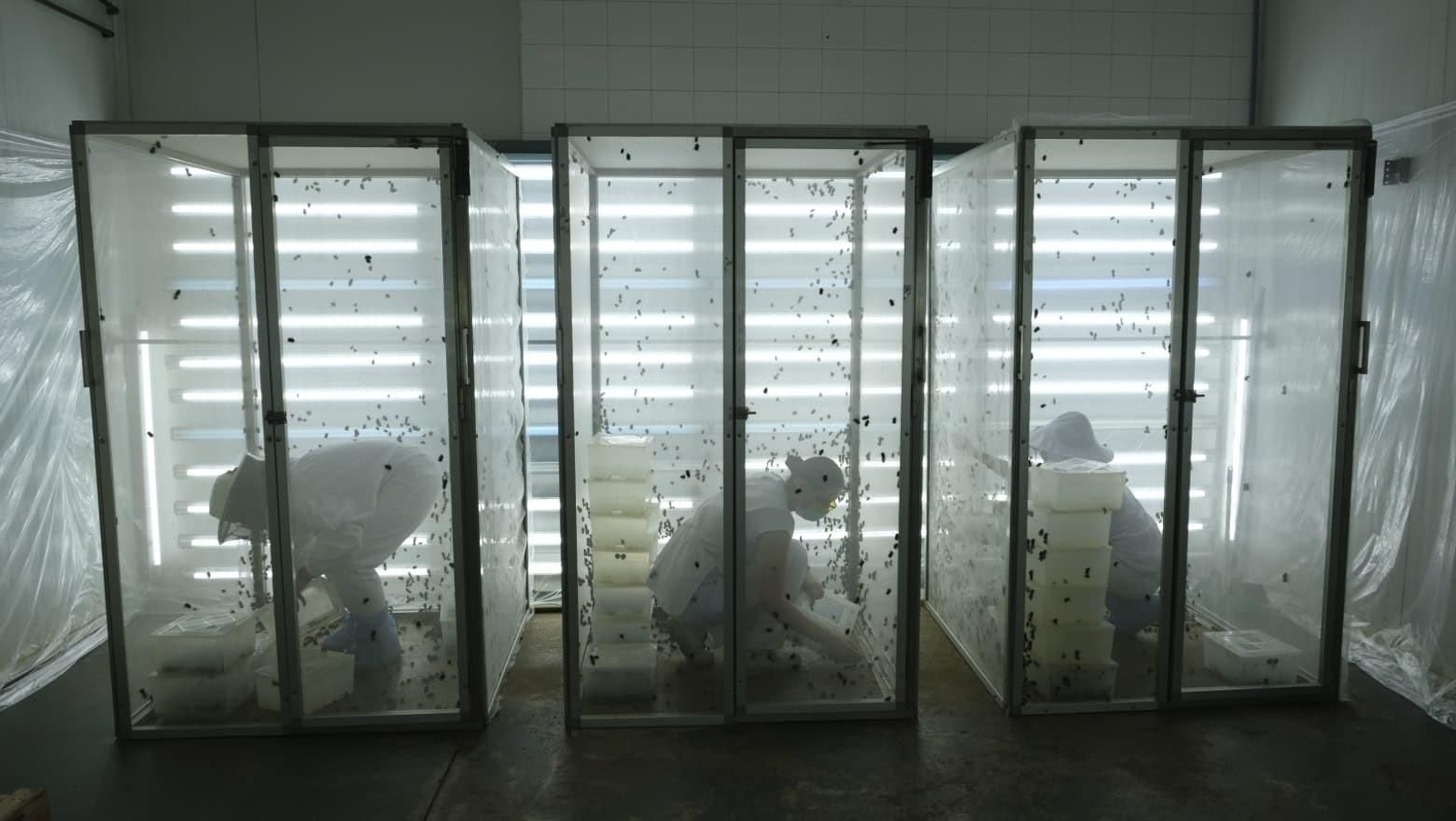 La industria auxiliar, pilar básico de la agricultura almeriense