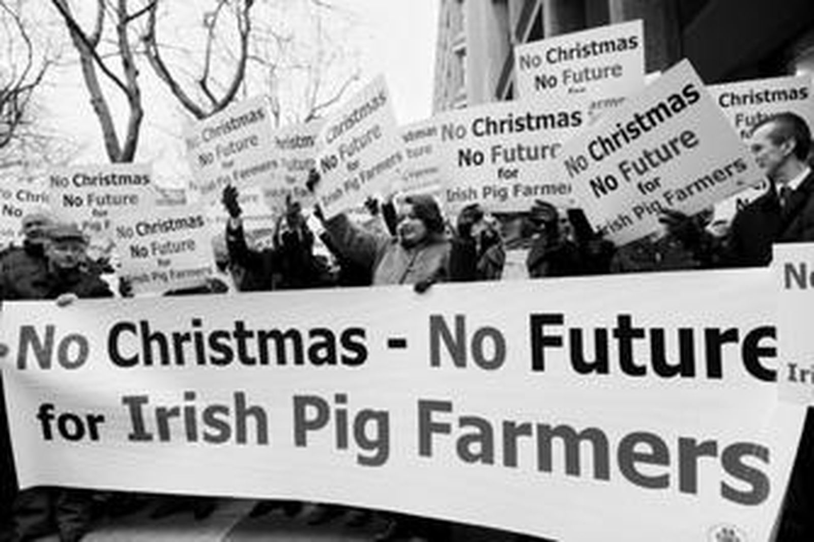 Un grupo de agricultores irlandeses protestan ante el departamento de Agricultura de Dublín.