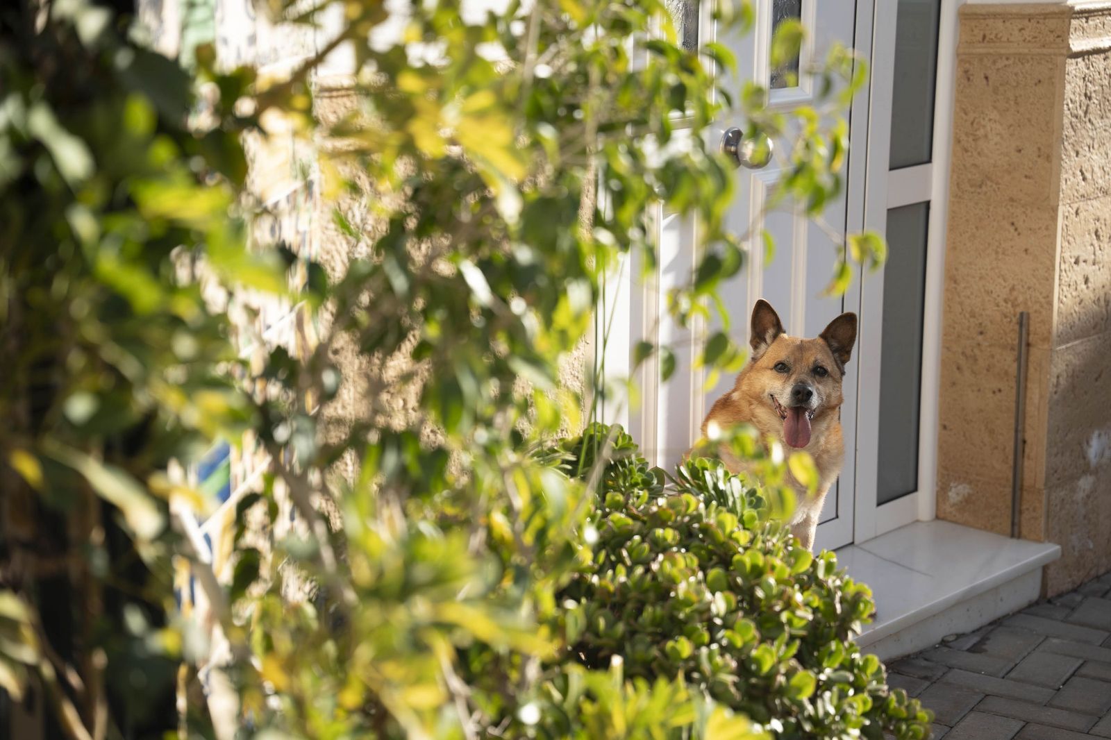 Viaje al centro del corazón alfarero de Níjar, en imágenes
