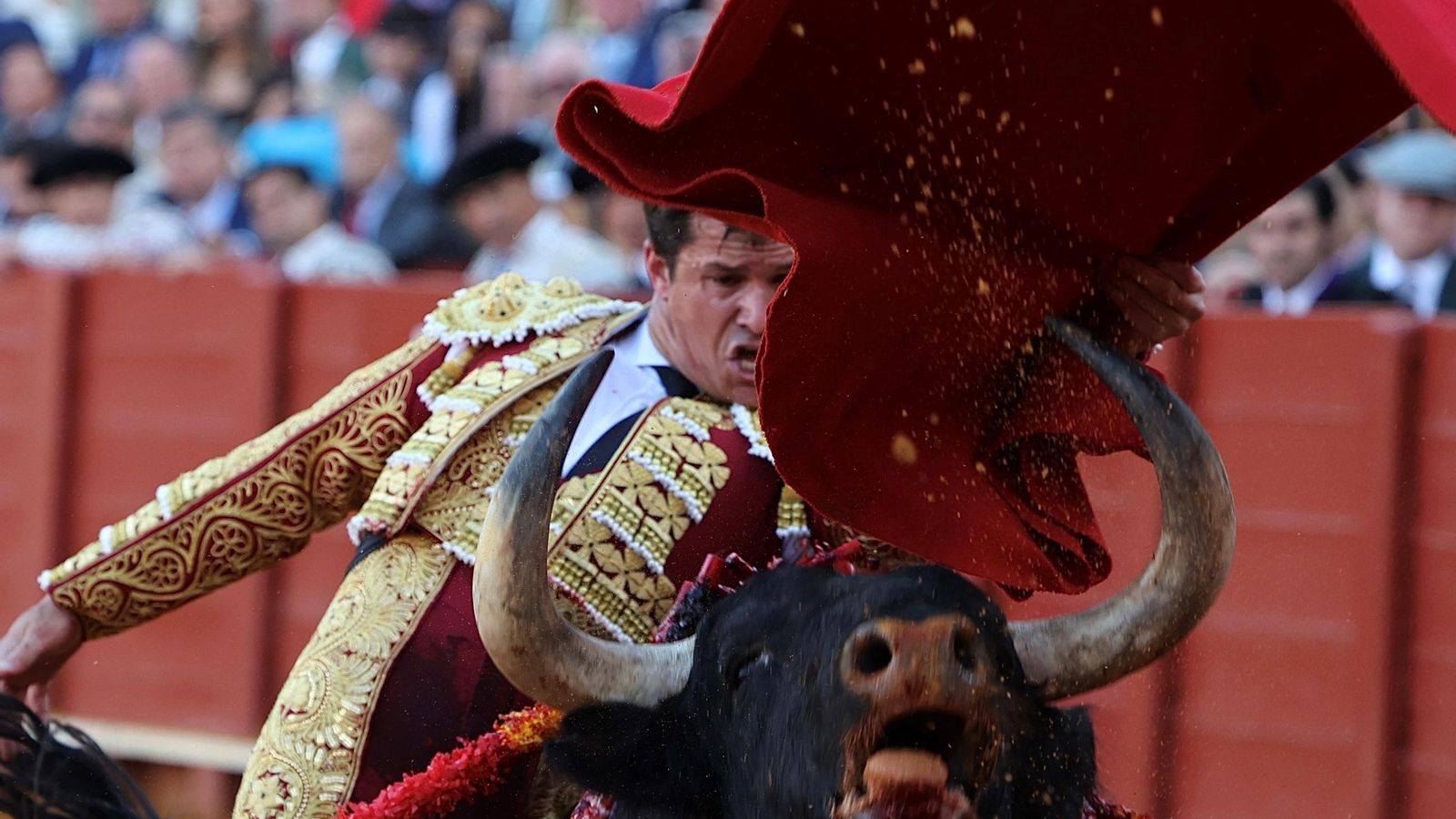 Echándose el toro por delante, sensacional pase de pecho de Daniel Luque al toro que debió desorejar.