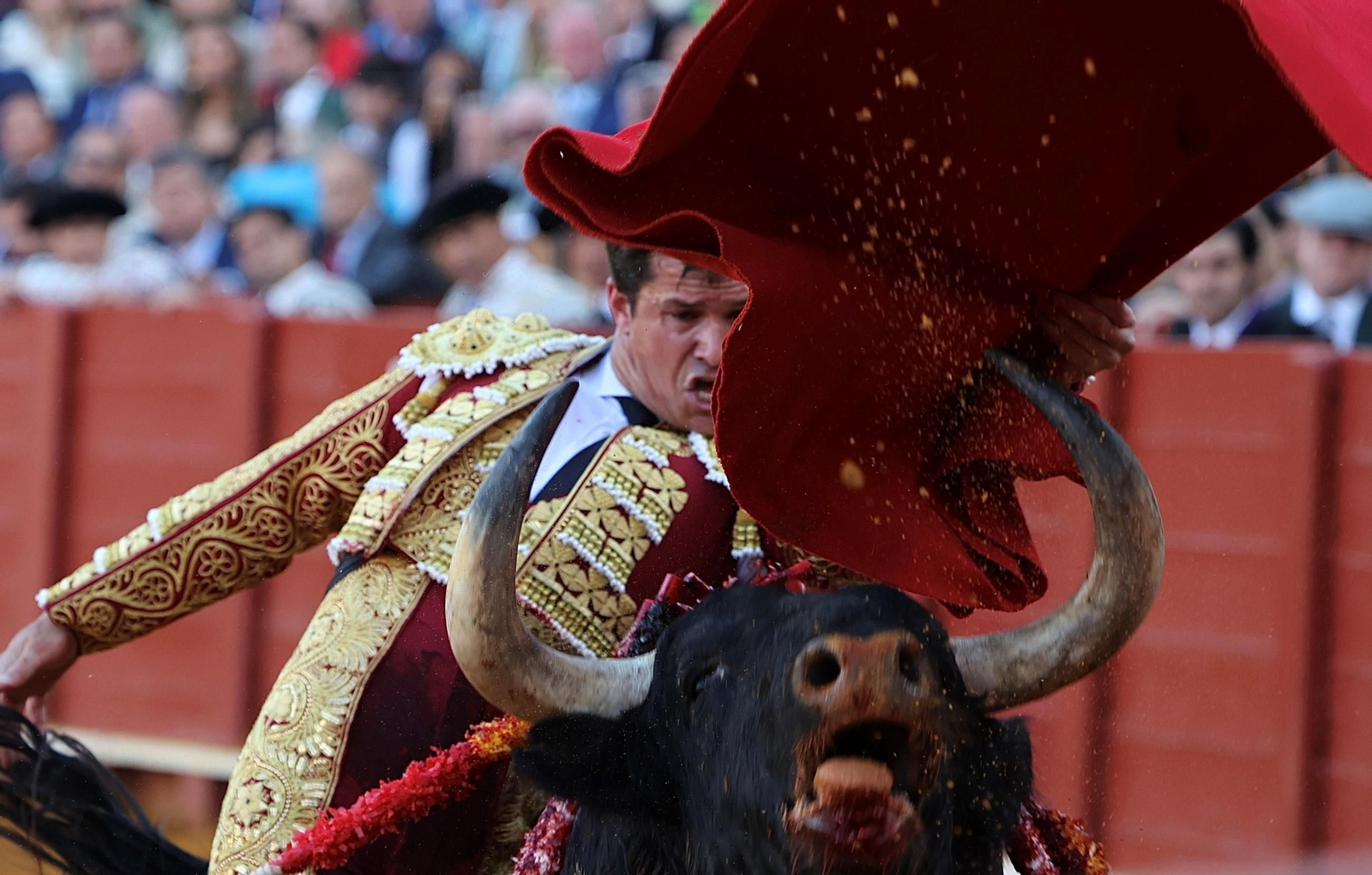 Daniel Luque ha decidido poner sus asuntos profesionales en manos del grupo BMF