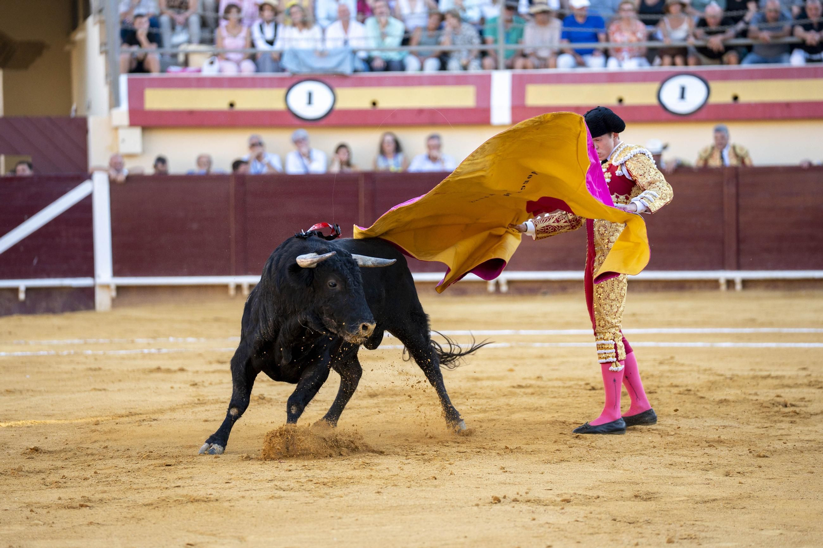 Las imágenes de los toros en Vera