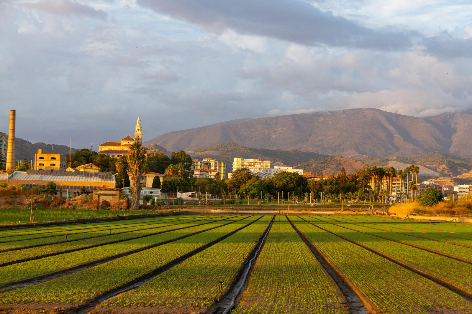 El Pleno del Ayuntamiento de Motril aprueba una gran rebaja fiscal para comercios y actividades empresariales