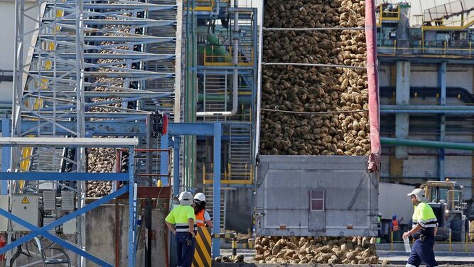 Entrega de remolacha para su molturación en la azucarera del Guadalete de Jerez en una campaña anterior.