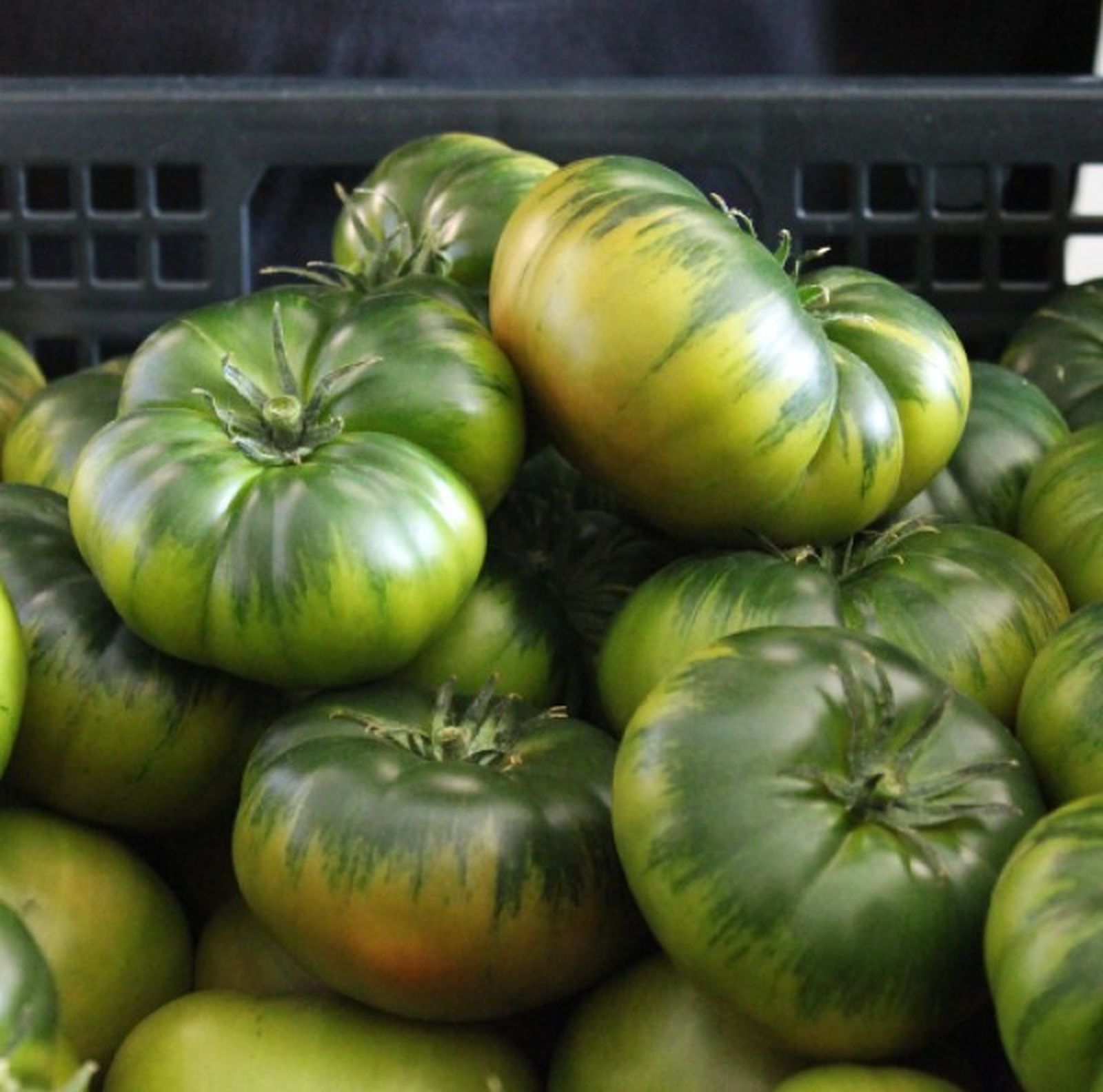 El buen comer, la otra gran joya