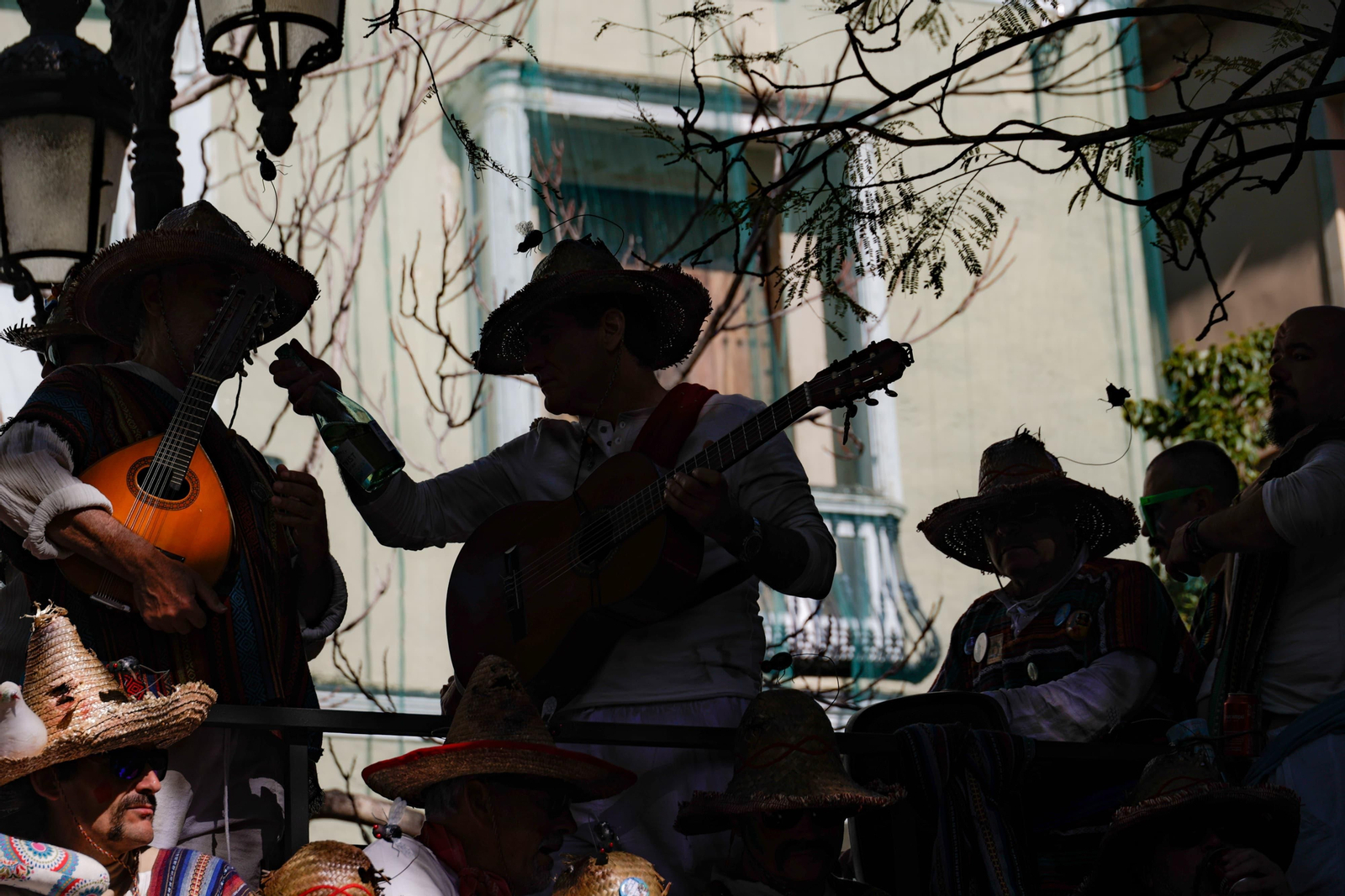 Las mejores imágenes del Domingo de Piñata del Carnaval de Cádiz 2024