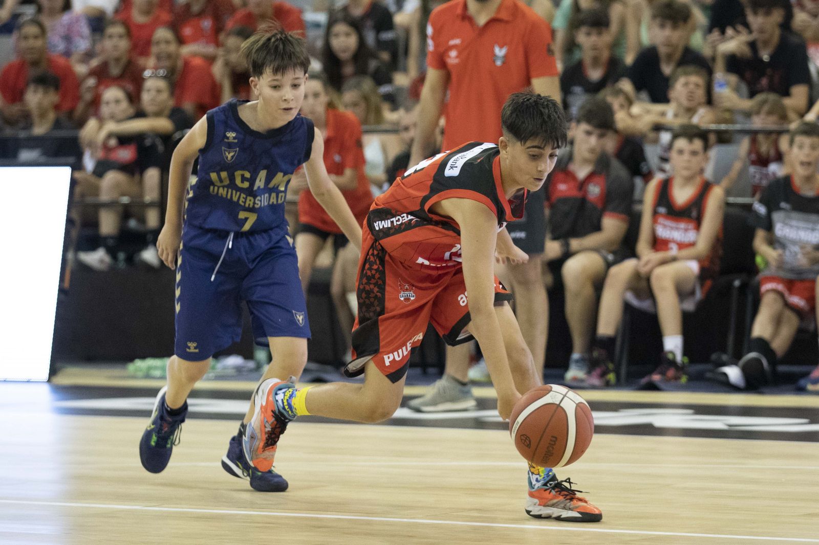 Las mejores imágenes del Campeonato de España de Minibasket