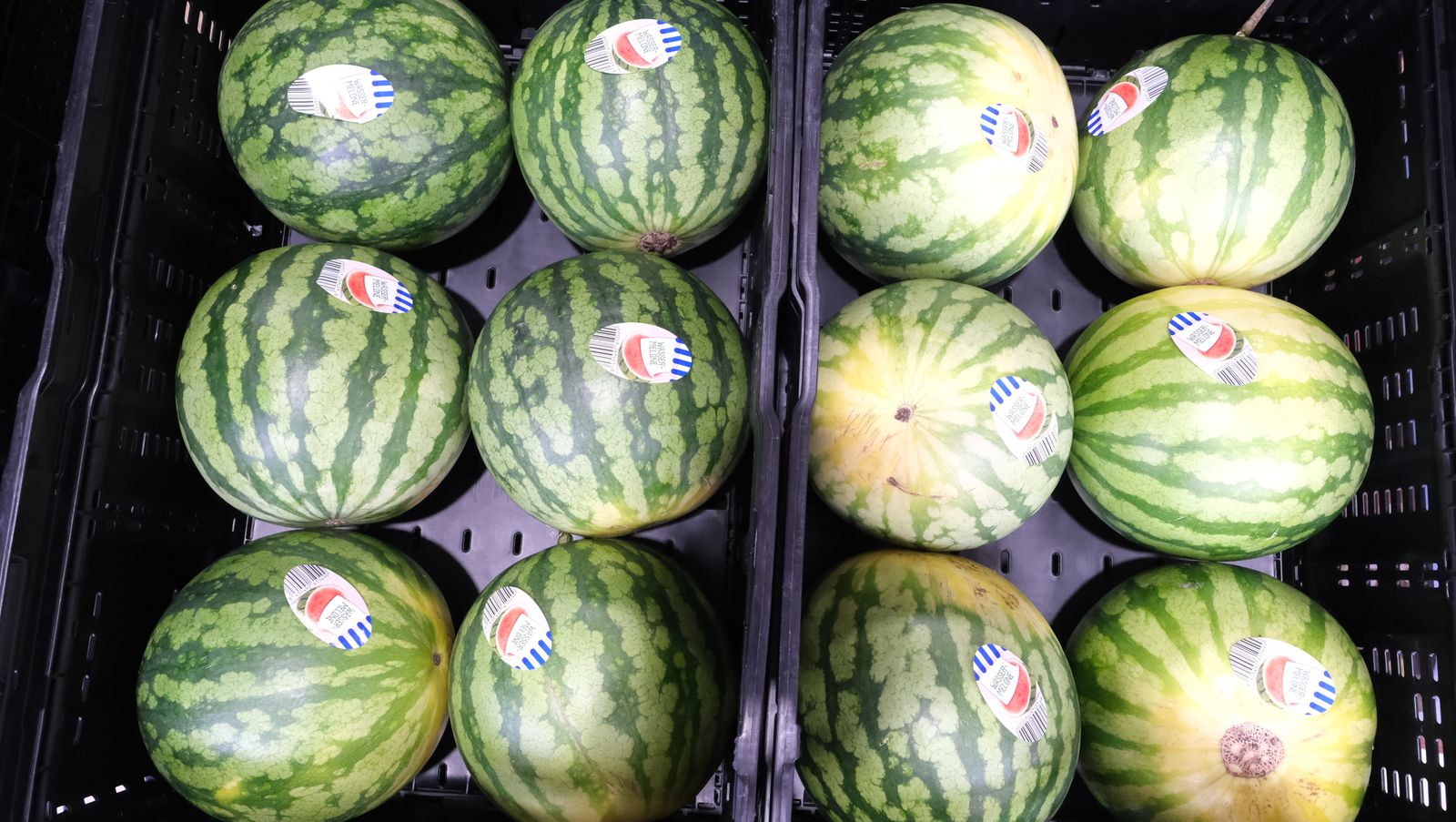 La IA llega a CASI, en imágenes