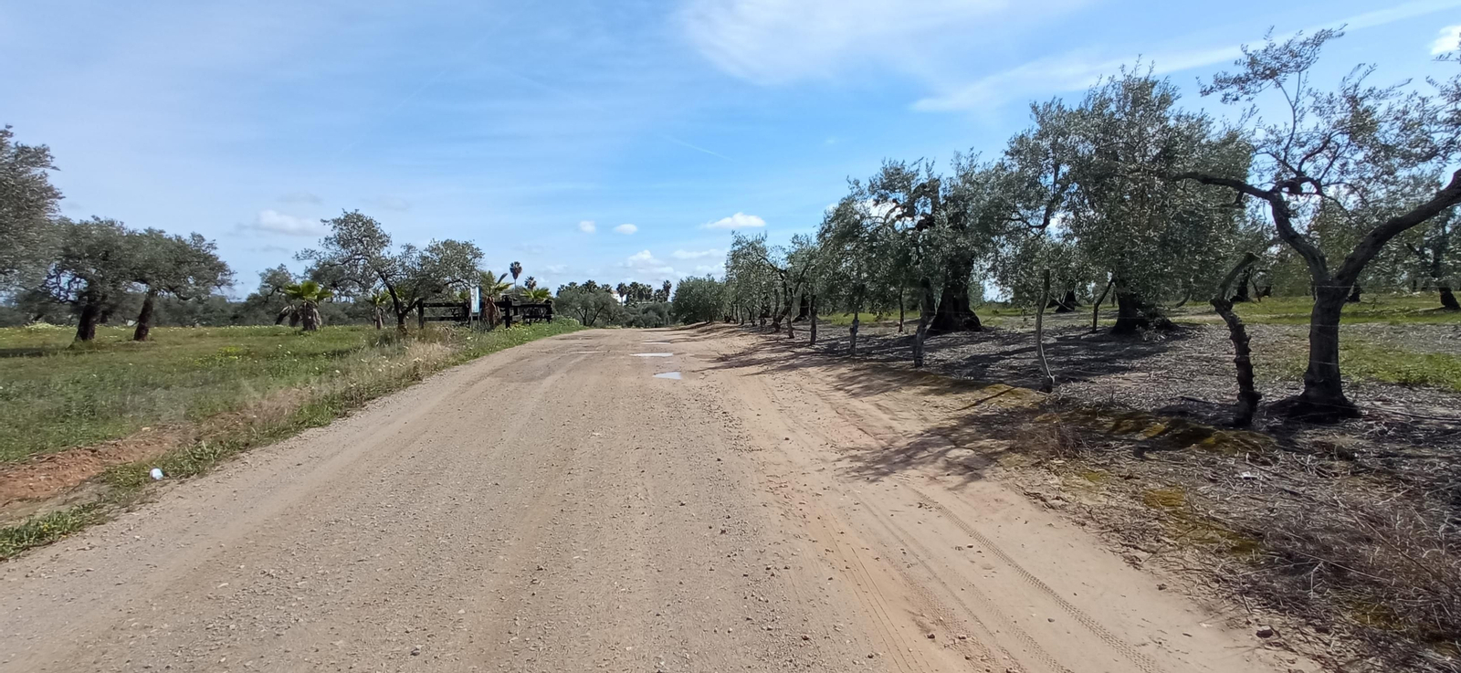 Las imágenes de la Ruta Azul en Bollullos de la Mitación