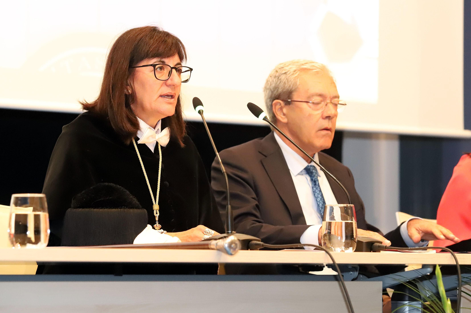 Imágenes de la apertura del Curso Universitario