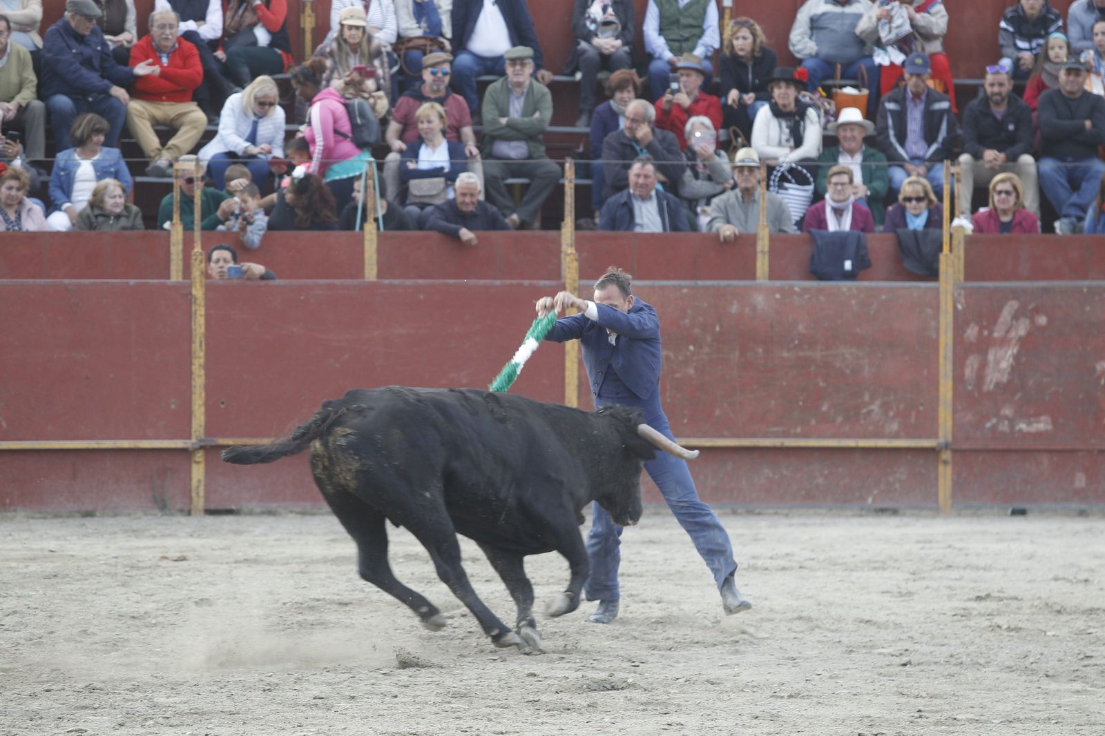 Fotogalería Festival Taurino Mixto. Fiestas de Abrucena.