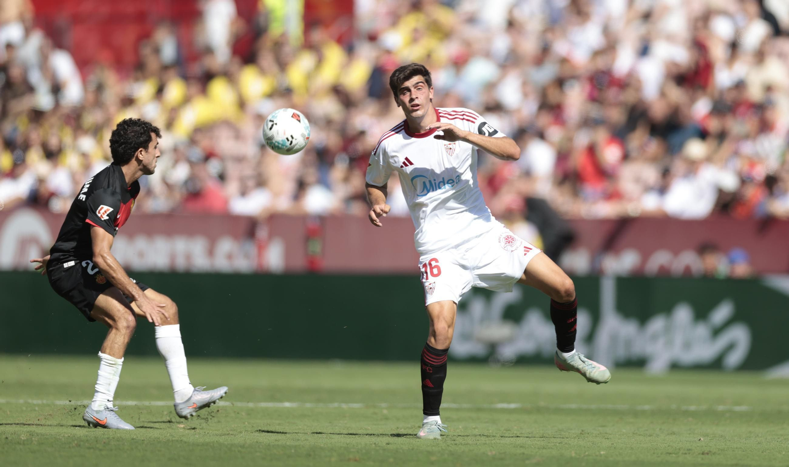 Las fotos del Sevilla FC - Mallorca
