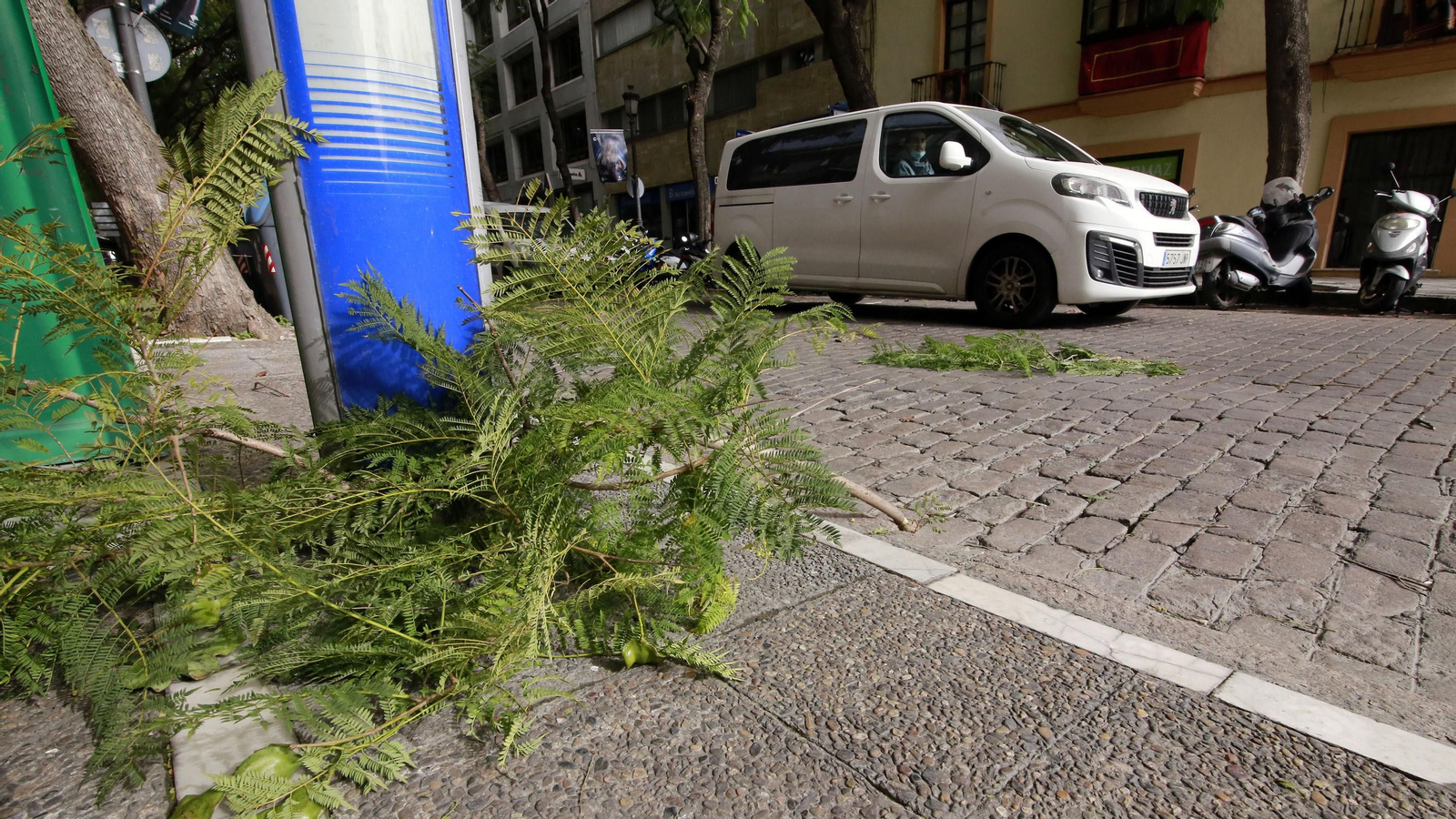 Imágenes de los destrozos ocasionados por el fuerte temporal