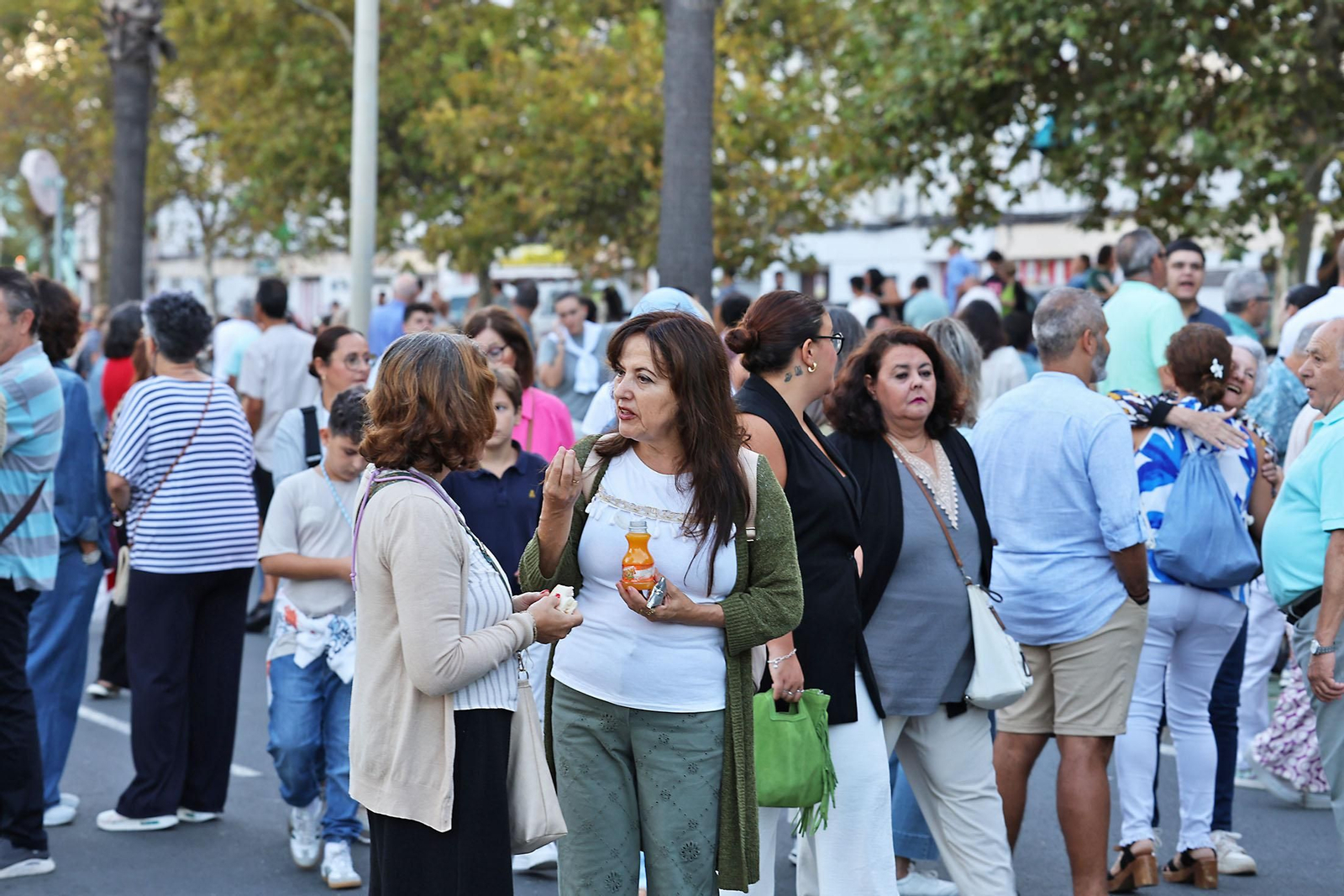 Imágenes de la bajada de la Virgen de la Cinta