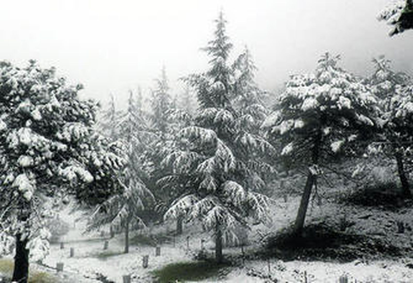 Final de curso VII muestra fotográfica 'Víctor Herce' en Los Marianistas