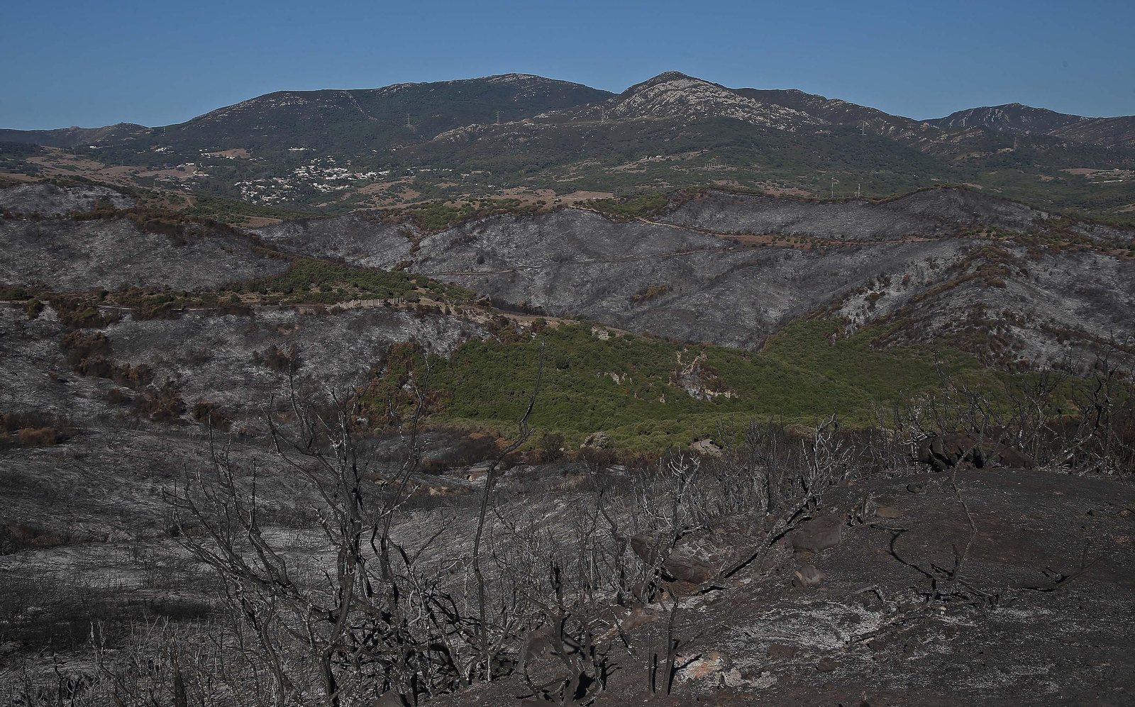 El impacto del incendio forestal de Algeciras, en imágenes