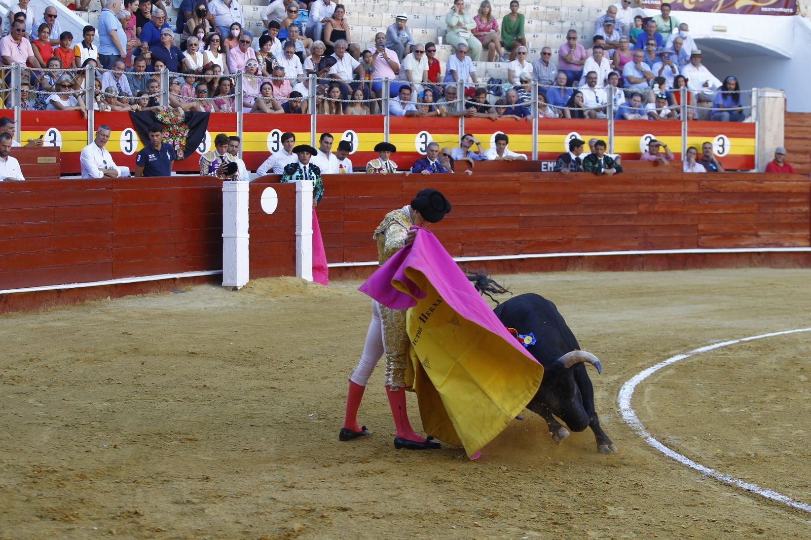Fotogalería de la novillada de la Feria Taurina de Almería 2022