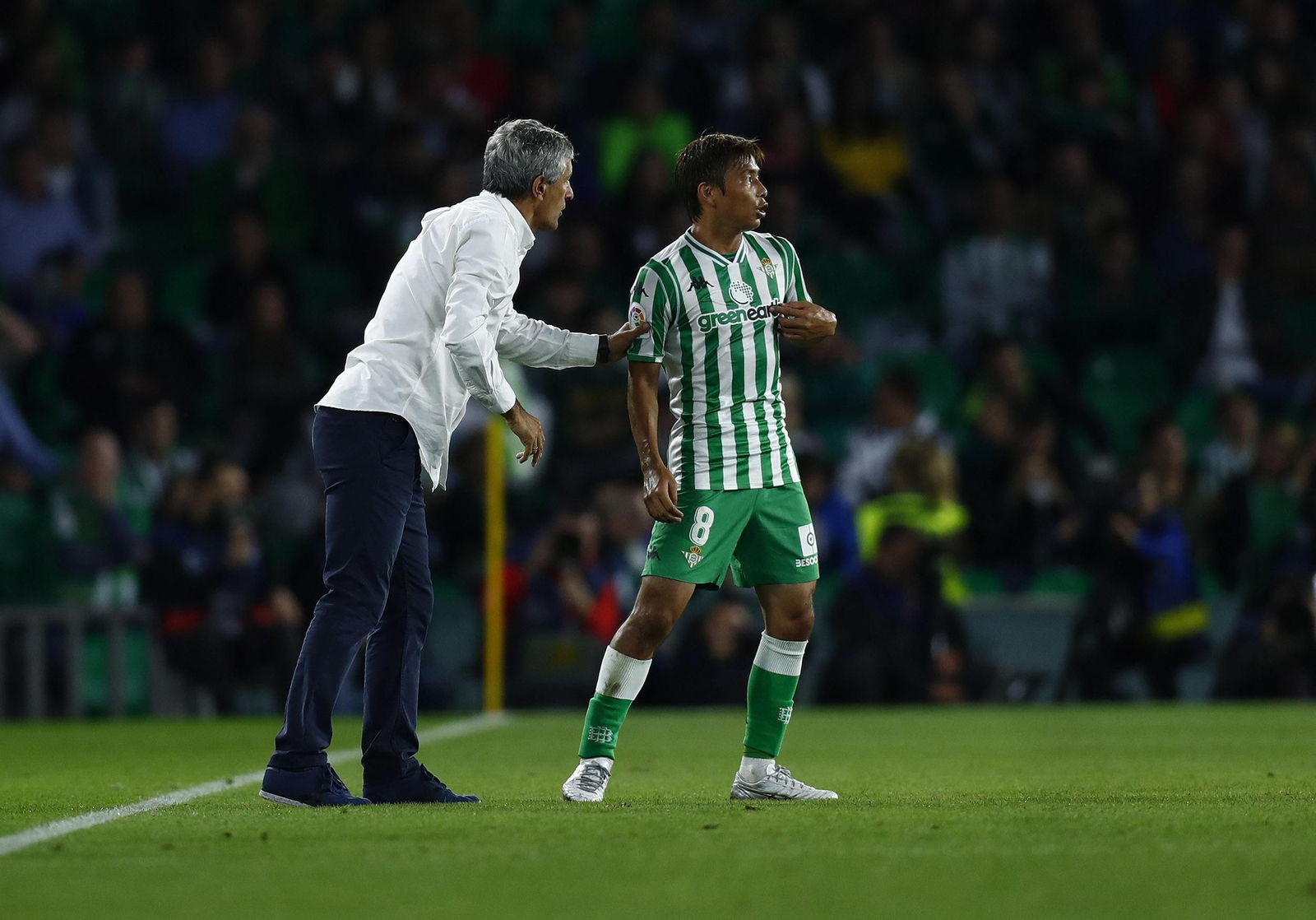Las imágenes del Betis-Valladolid