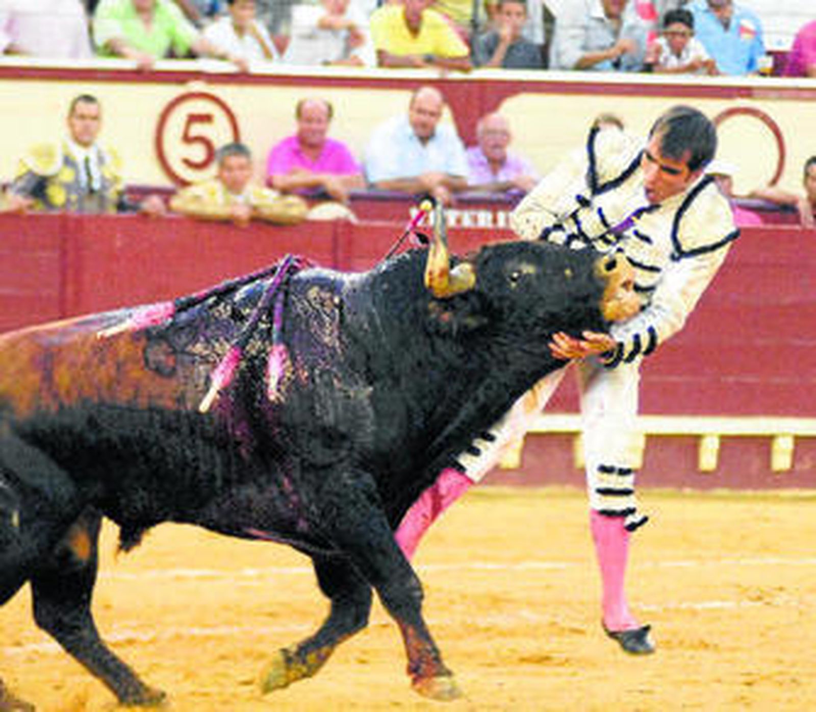 El mexicano Arturo Macías es cogido por el pecho por el quinto toro de la tarde con el hierro de Buenavista.