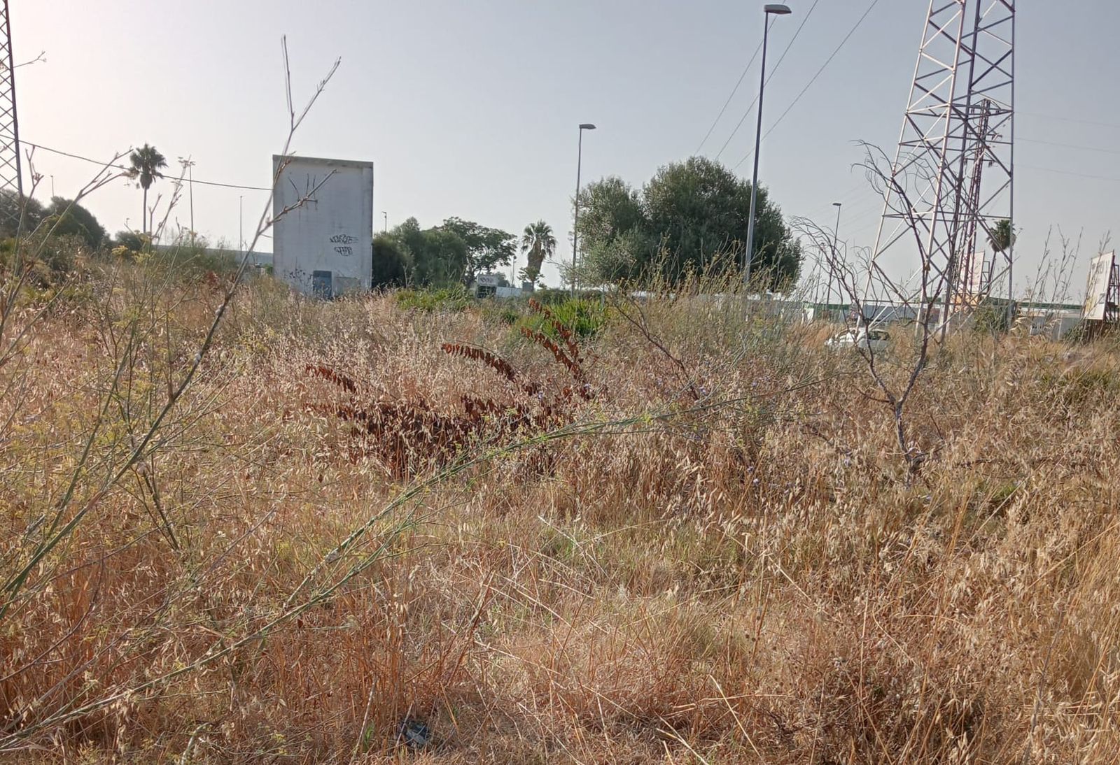 Una imagen de la Cañada del Verdugo.