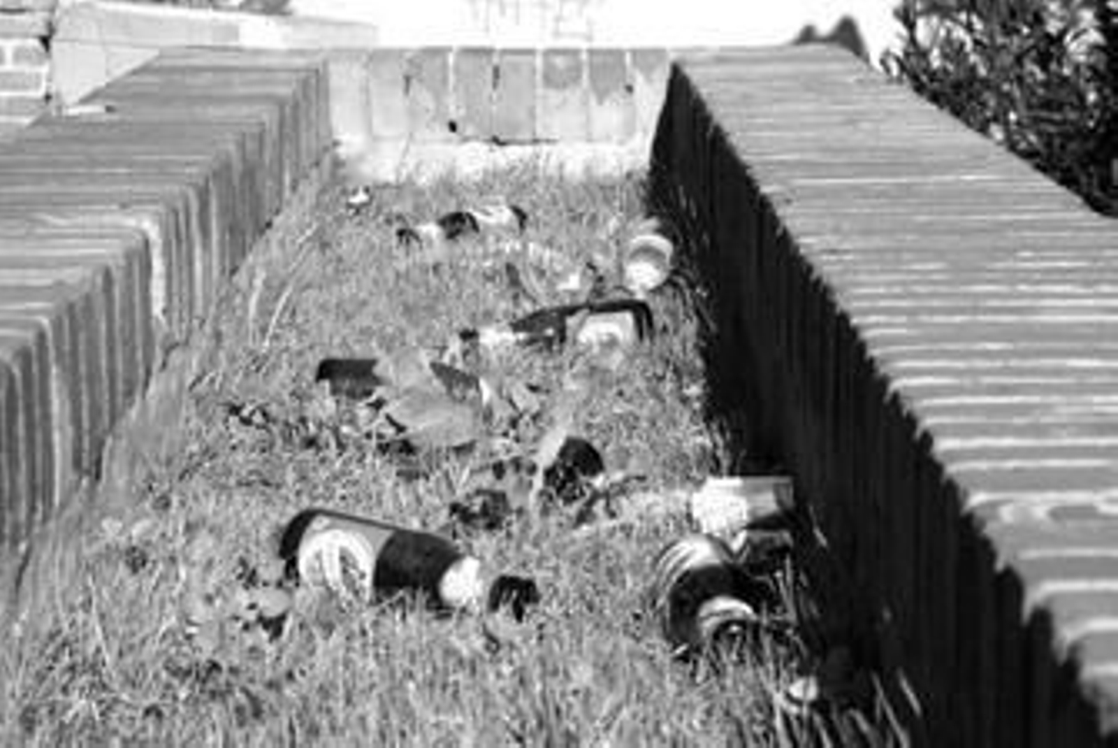 Restos de la 'botellona'