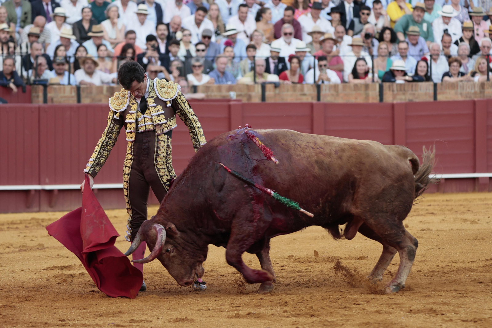 Las imágenes del festejo