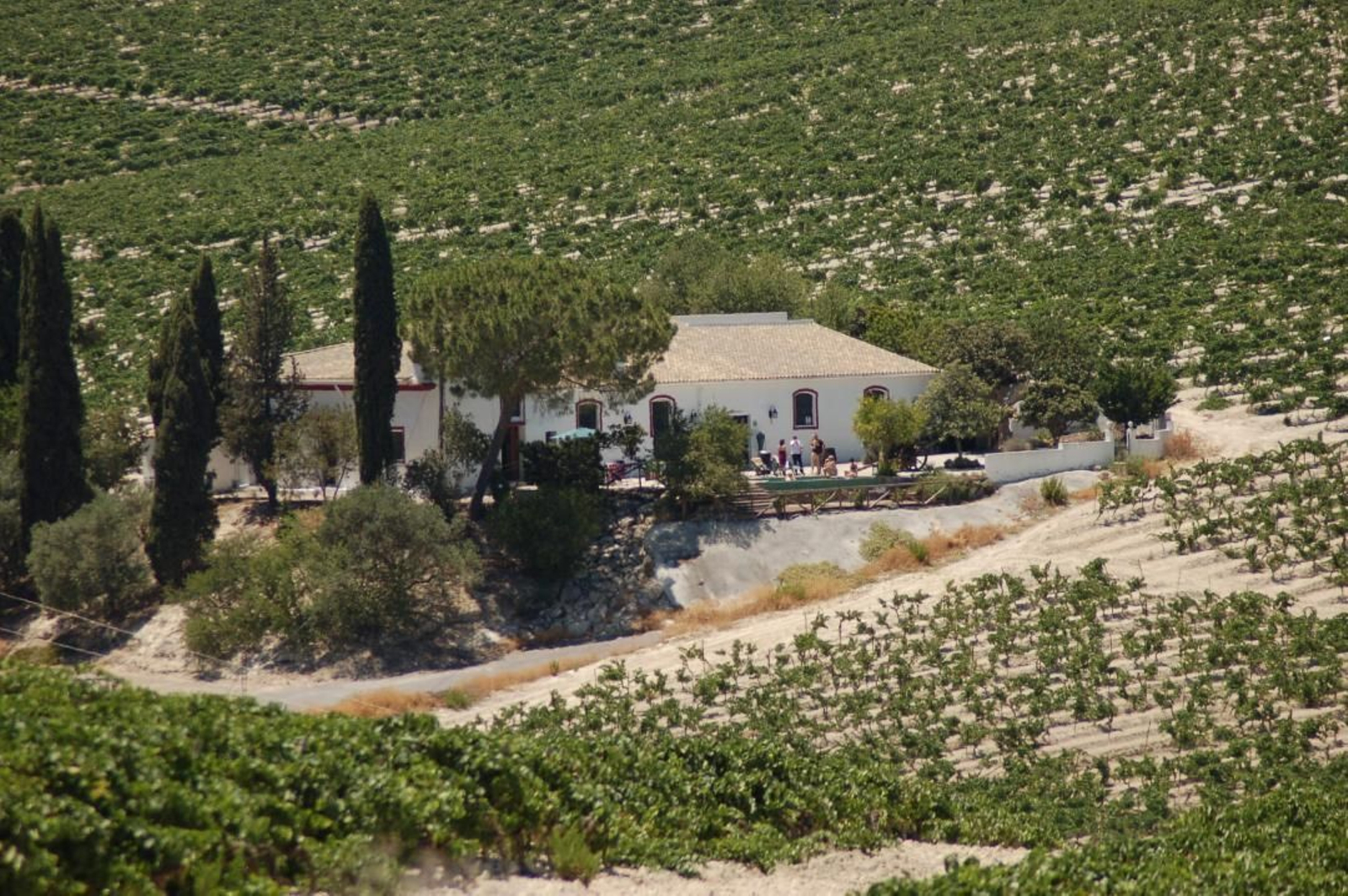 Así es por dentro la casa con la bodega más pequeña del mundo dedicada al jerez