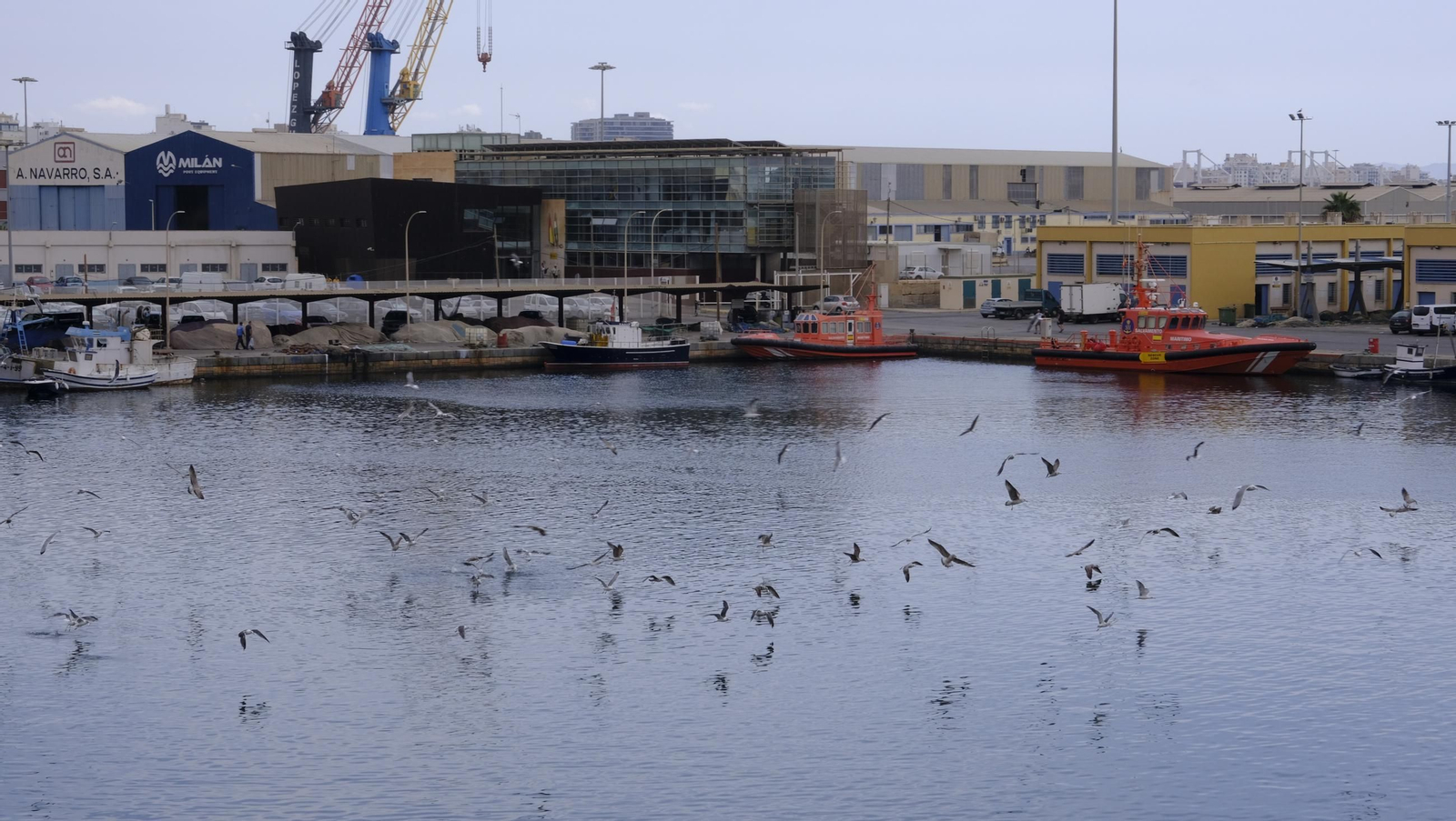 Taller gastronómico de la Gamba Roja de Almería, en imágenes