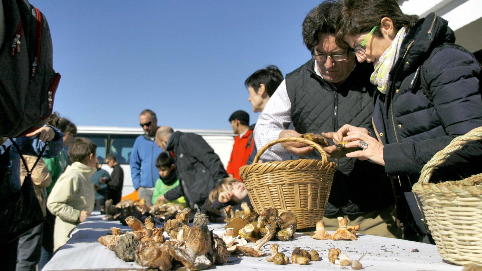 Imagen de archivo de otra edición de las jornadas en la que los participantes exhiben lo recolectado.