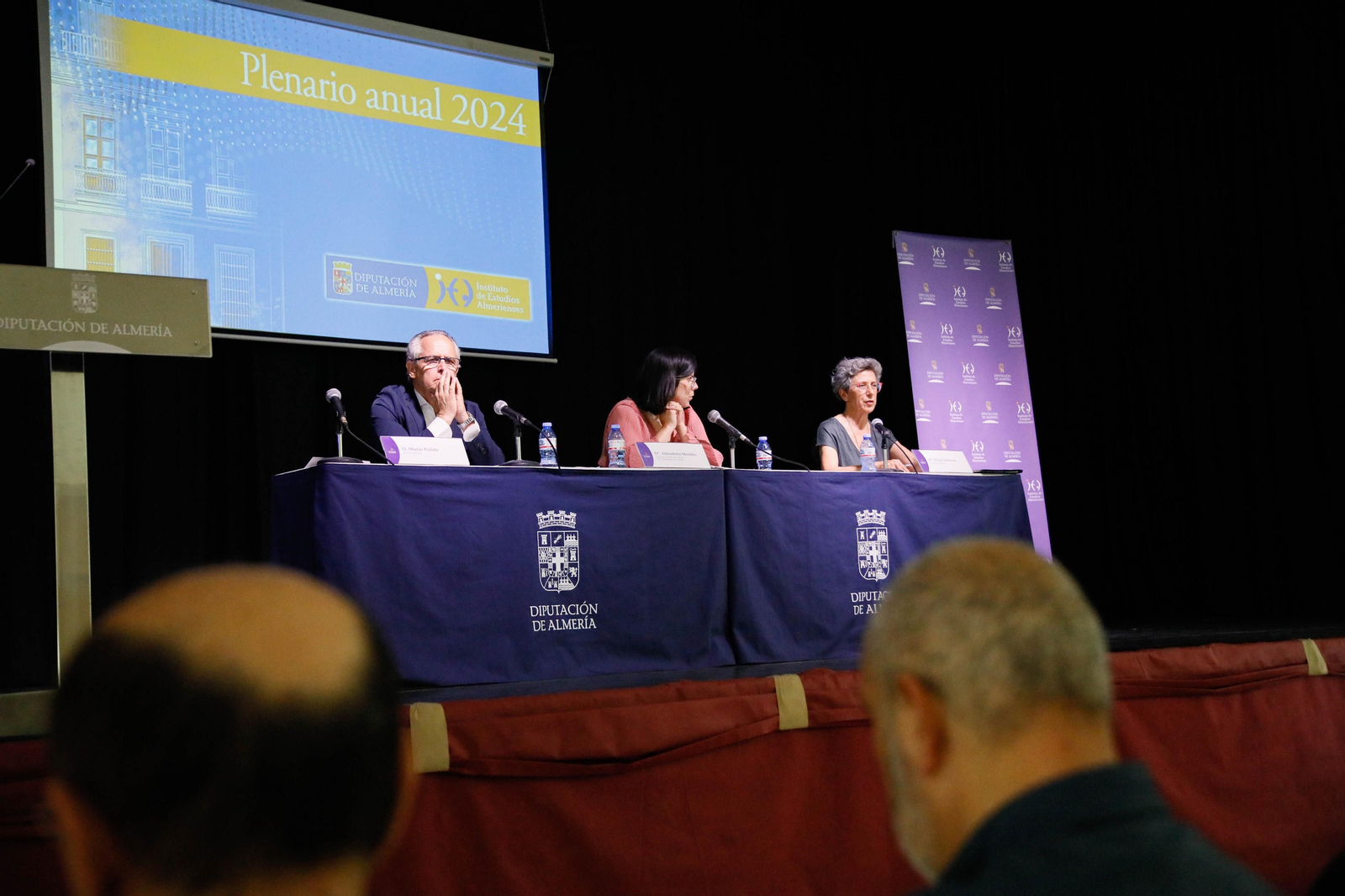 Imágenes de la entrega de los Escudos de Oro del IEA y la celebración de su Plenario