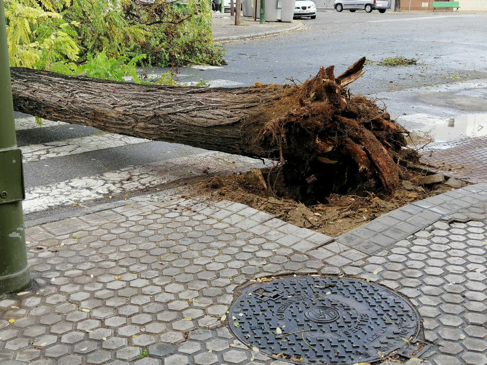 Las imágenes del temporal que azota Sevilla