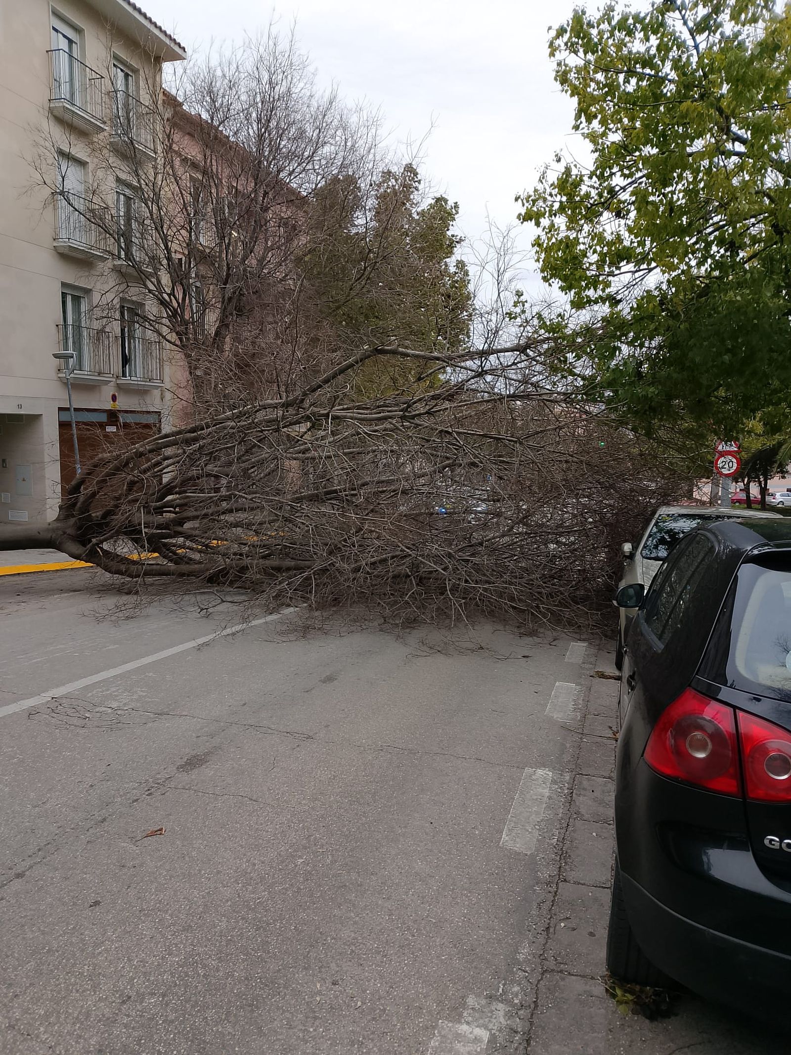 Los escuderos, Jaén