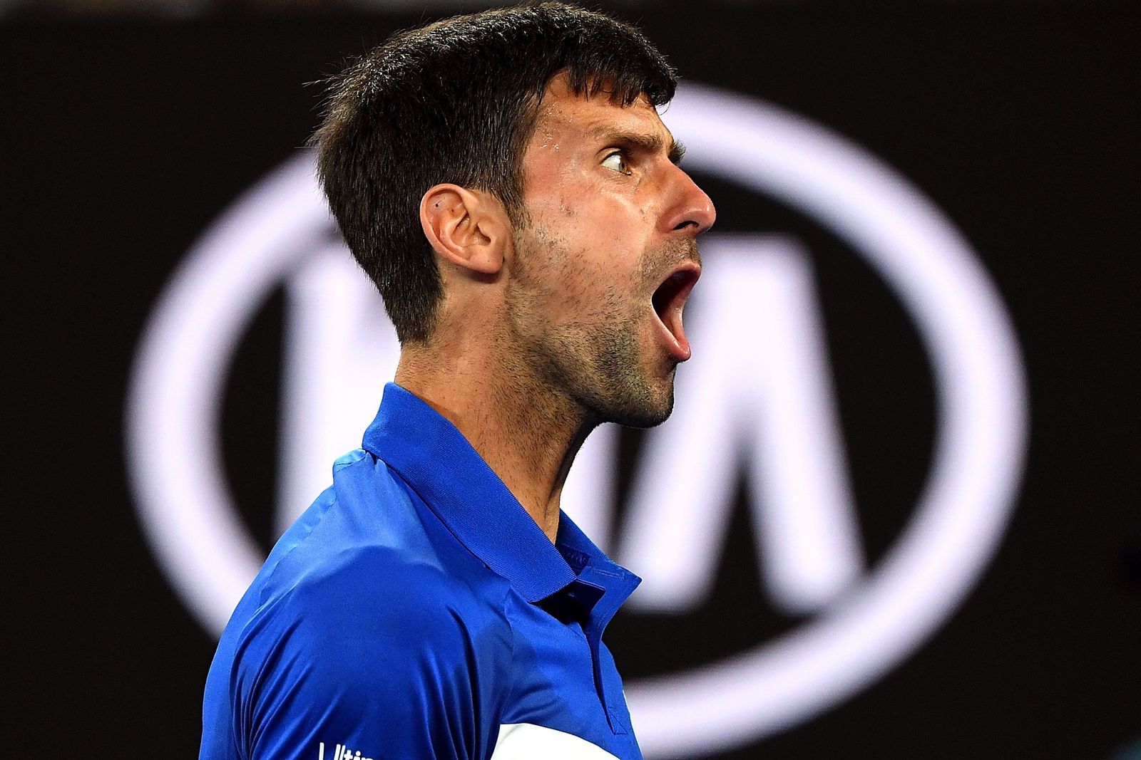 Las imágenes de la final del Abierto de Australia