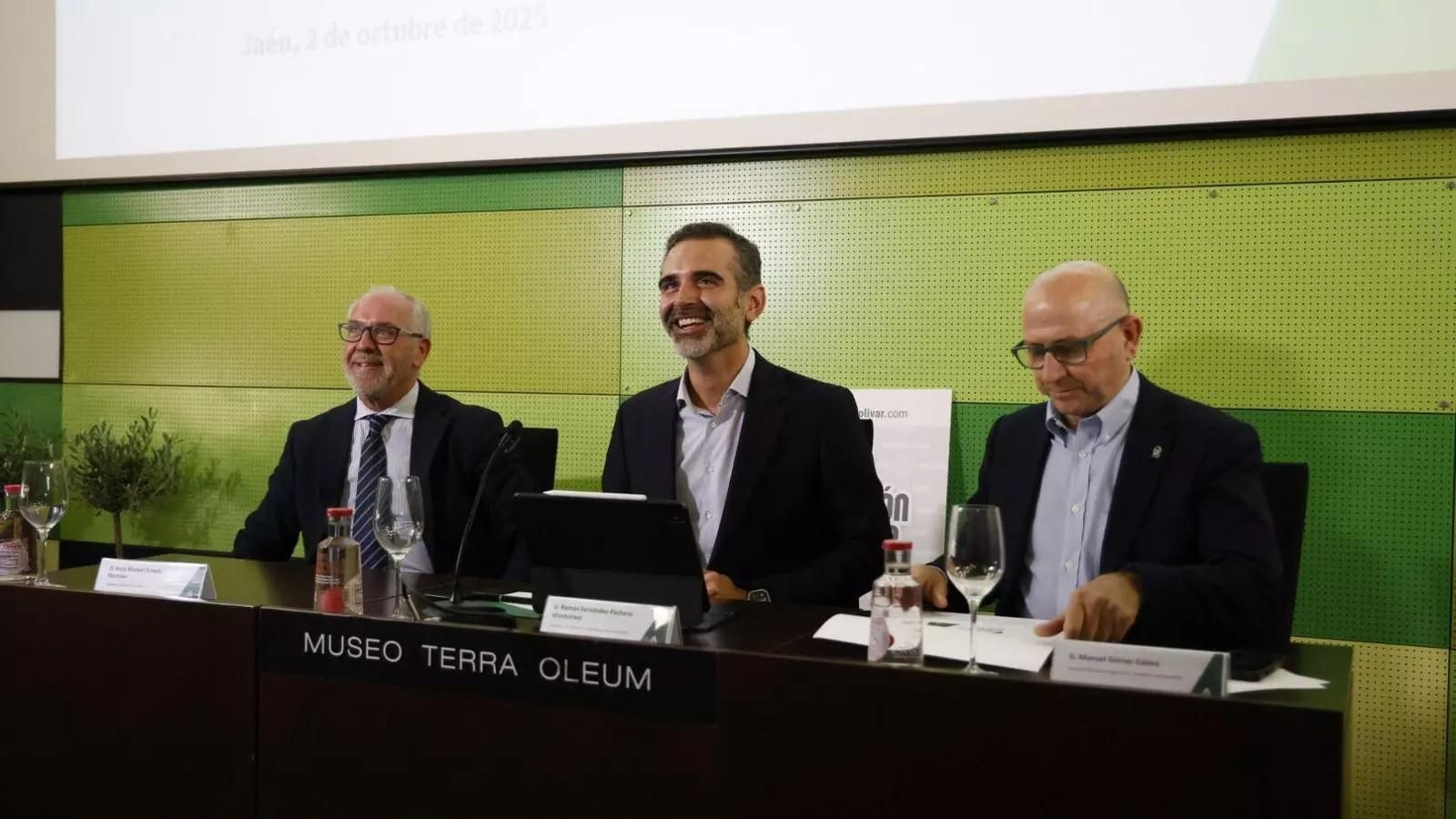 Aforo del olivar.